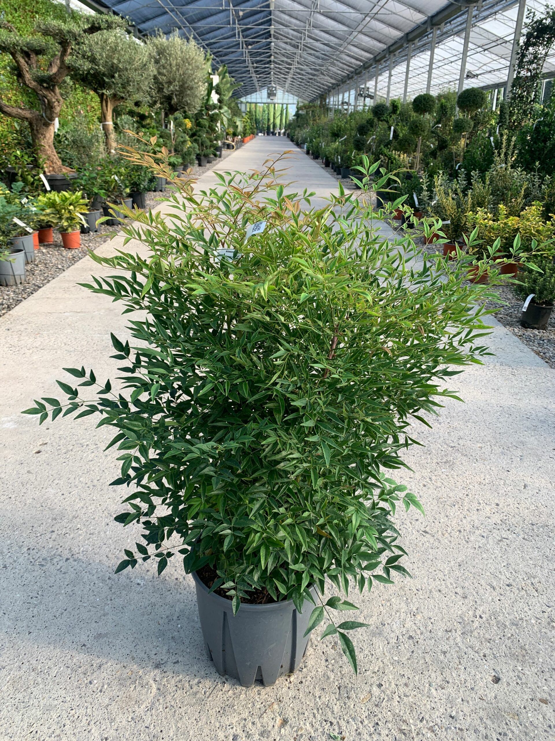 1632812812 scaled 4a330f9f