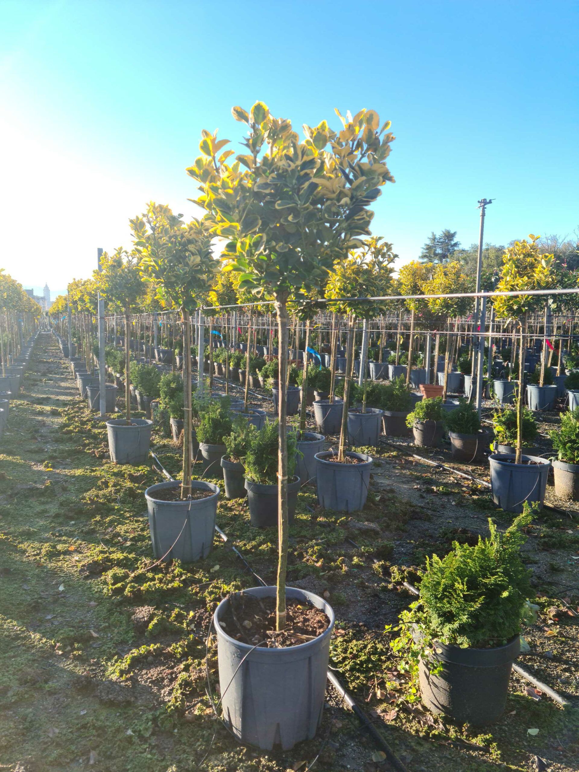 1639643123 scaled 4a1045ac