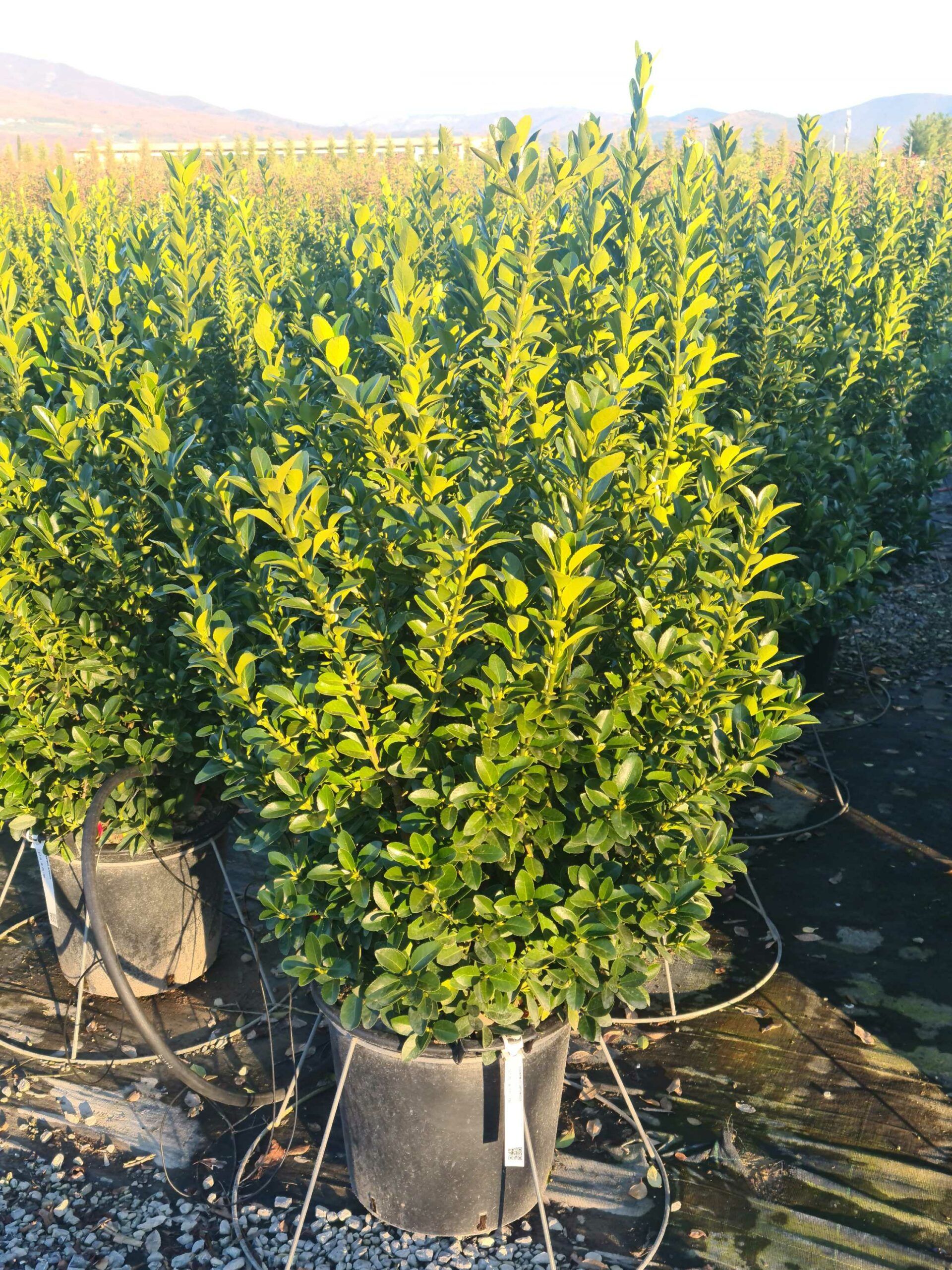 1639665417 scaled 4a8fa1e5