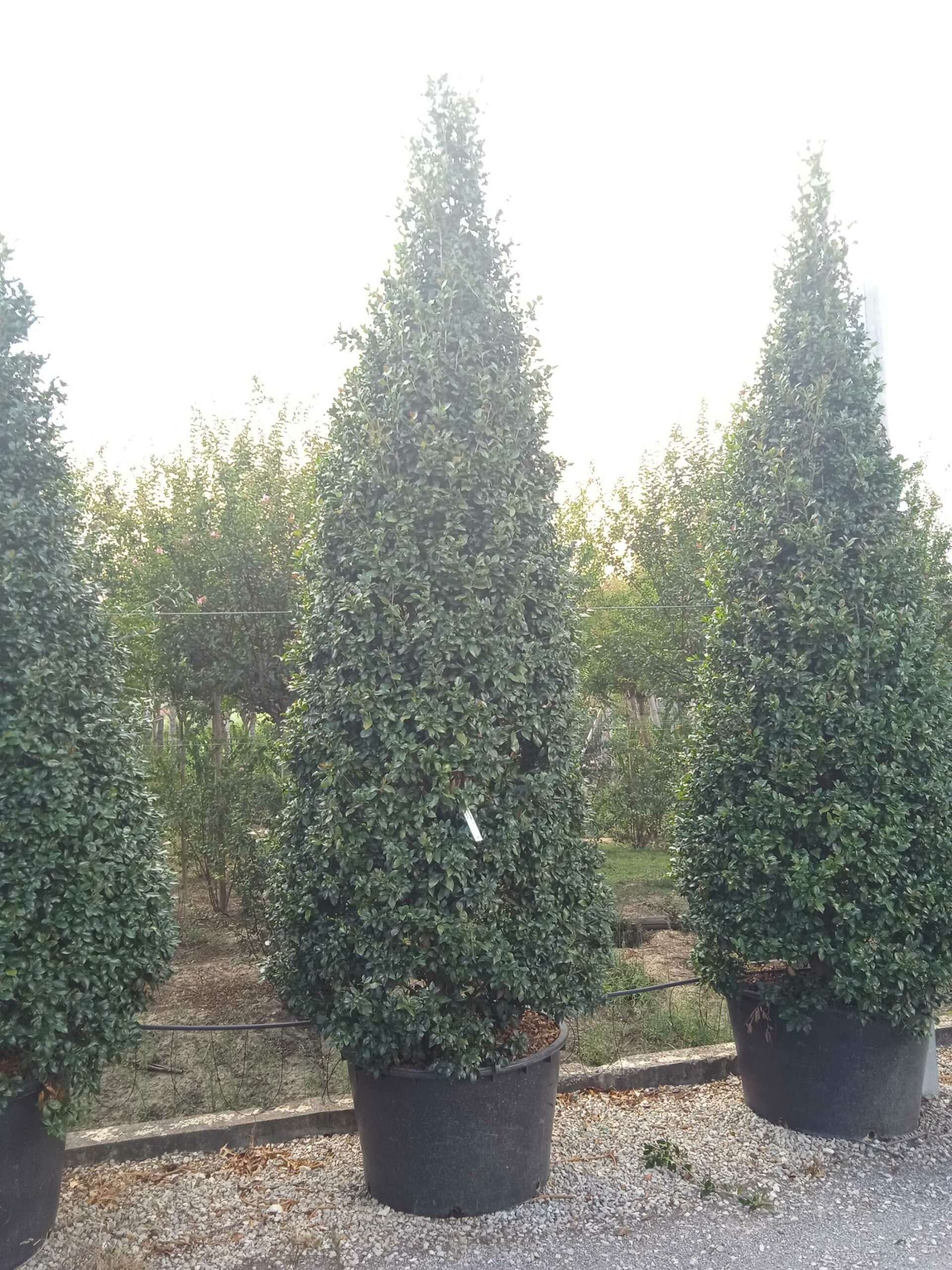 1661784488 scaled 4ae677da