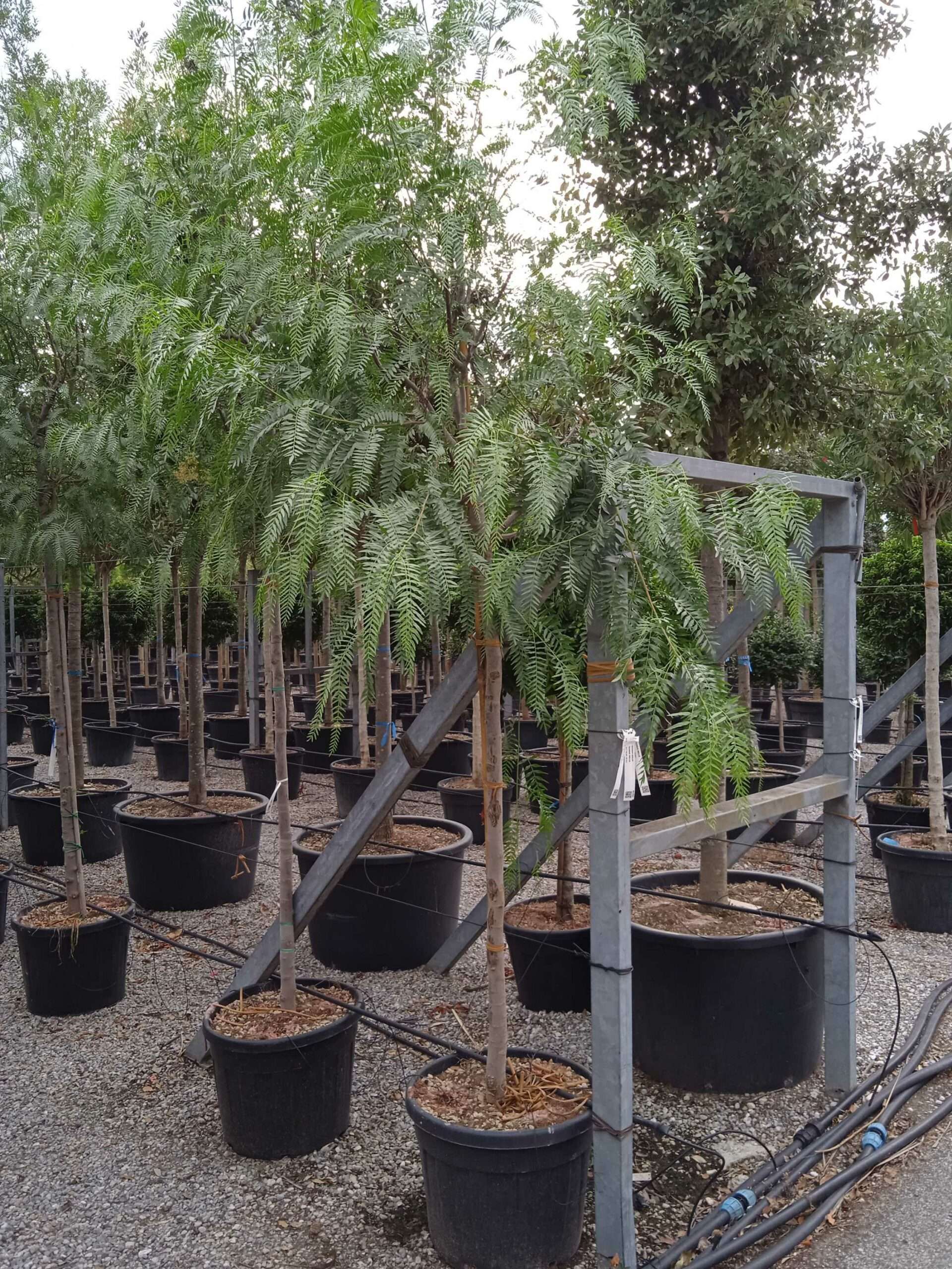 1661871334 scaled 4ad59f6d