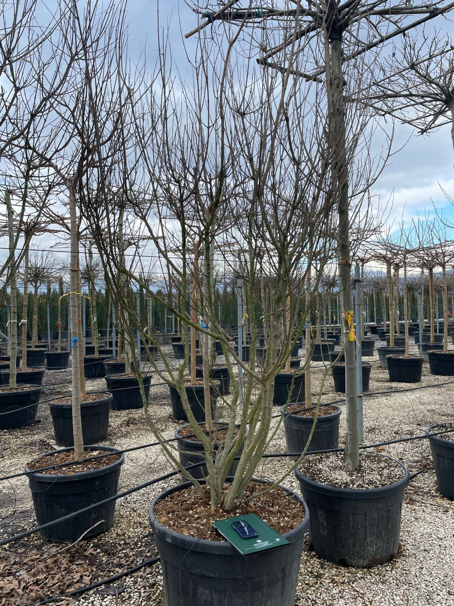 1677834718 scaled 4a41cda8