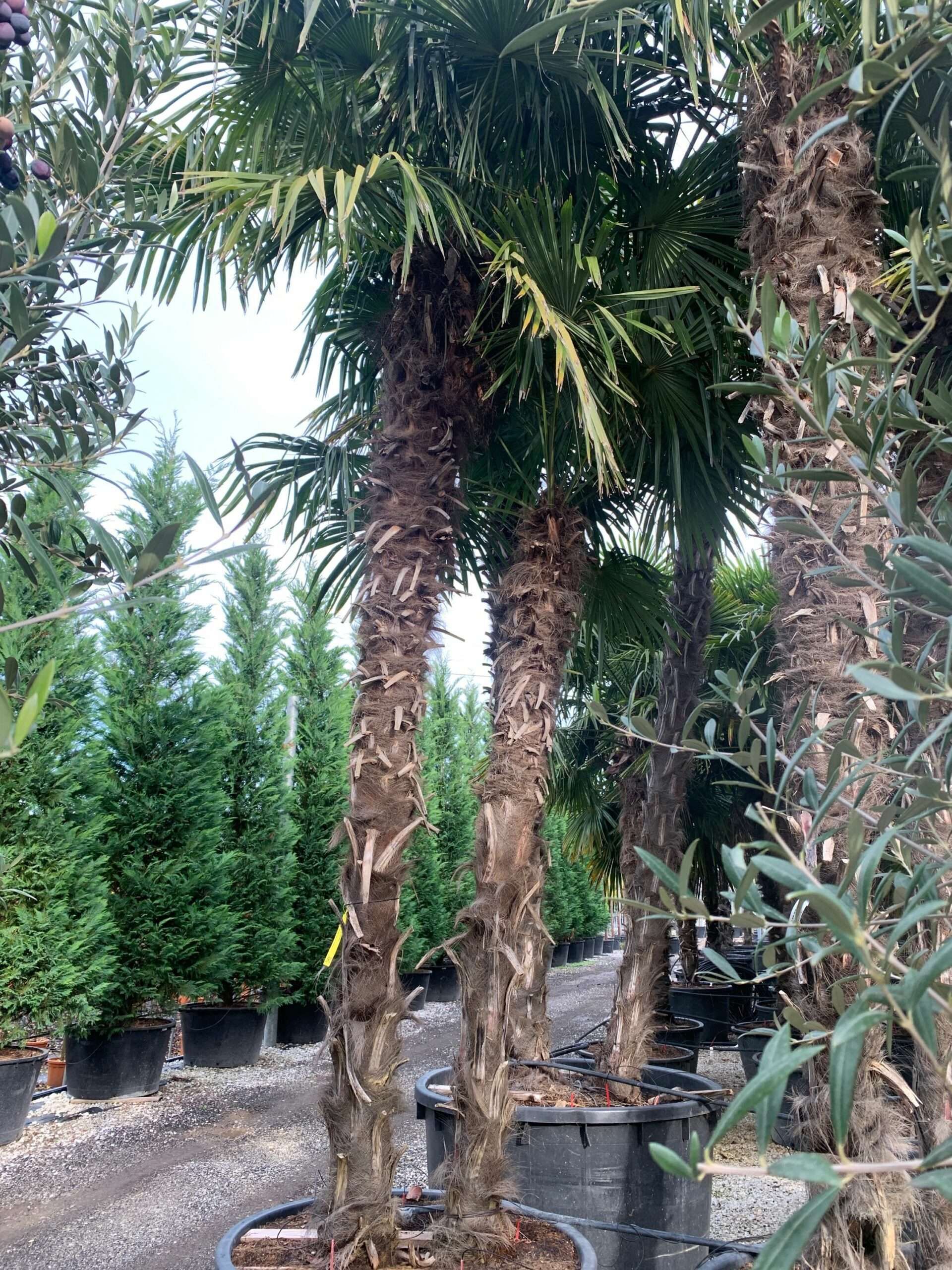 1636101159 scaled 4b8a439f