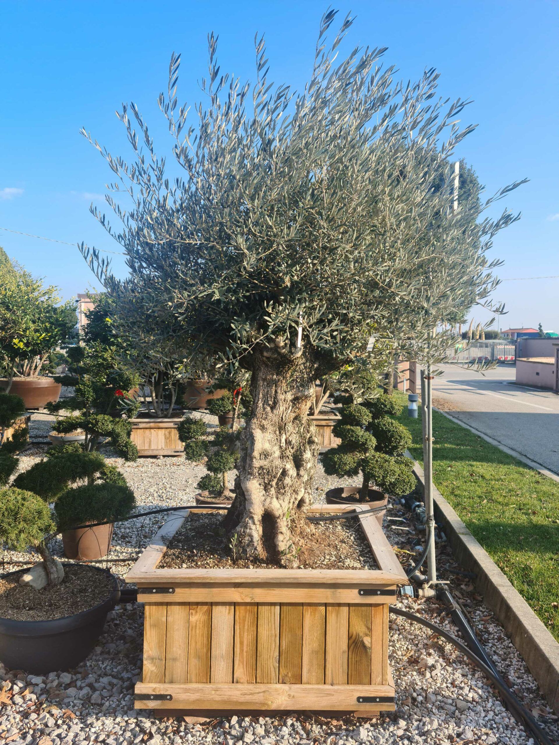 1642772089 scaled 4be351b2