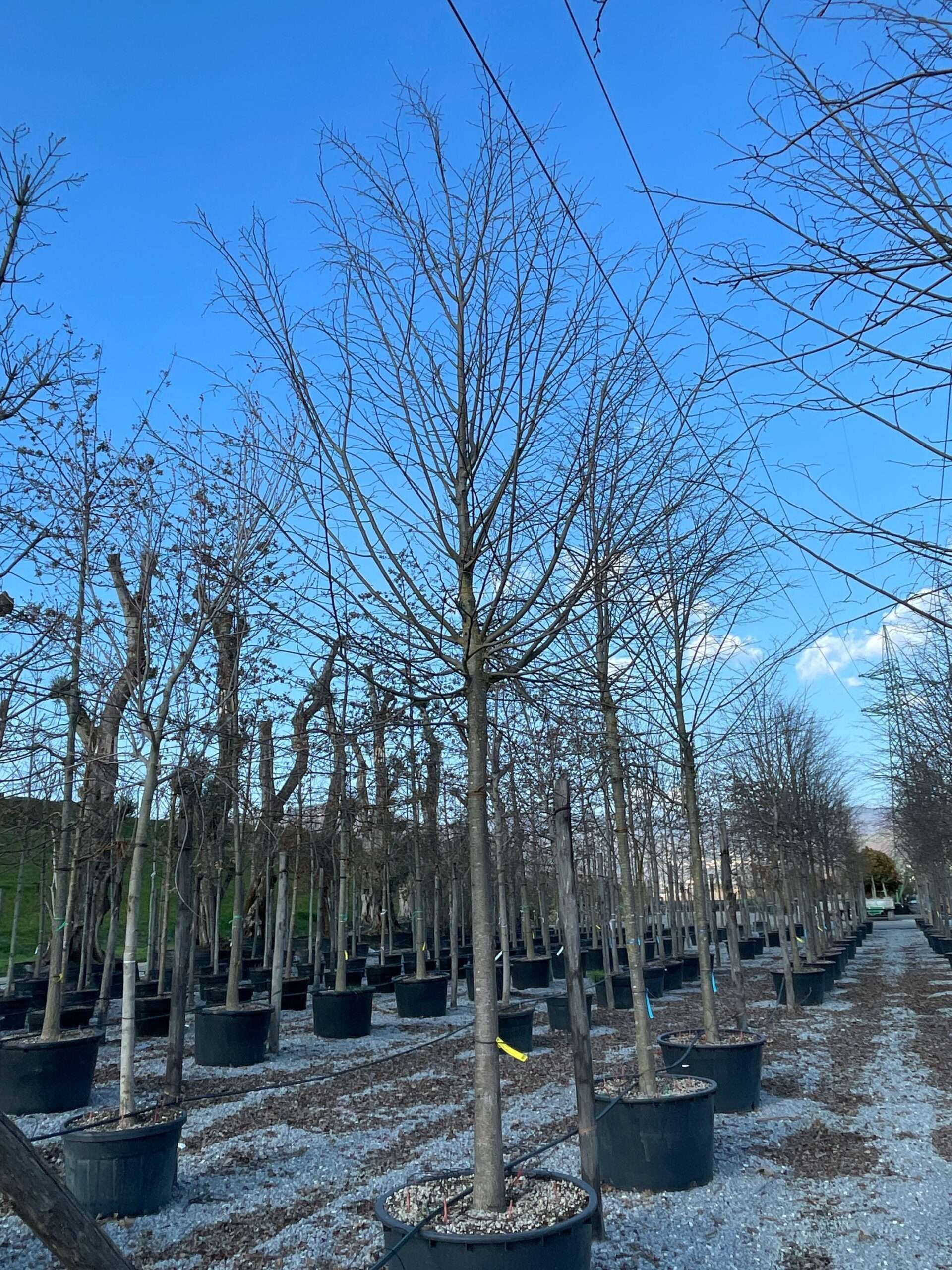 1644243035 scaled 4ba86b7a