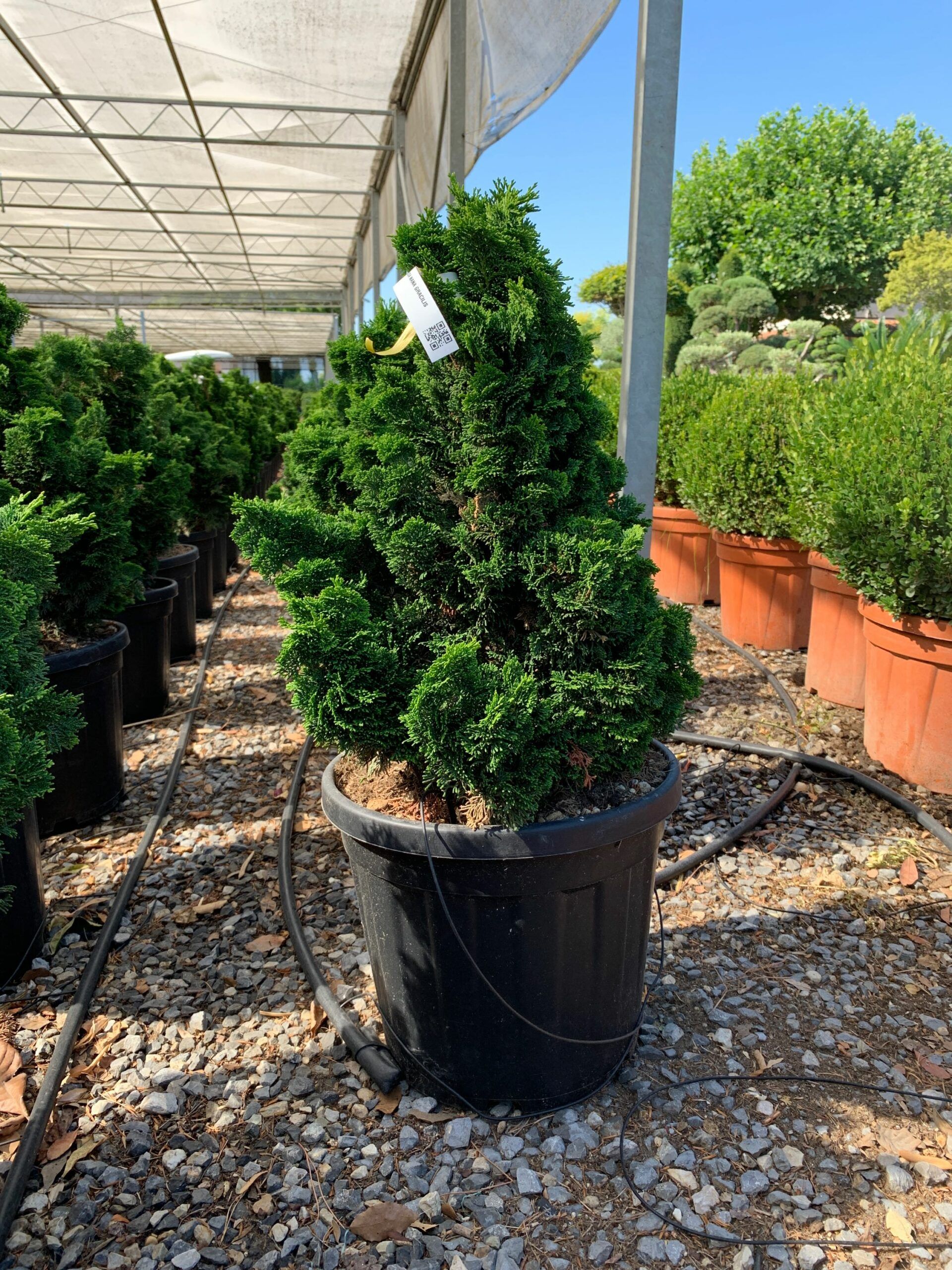 1657525988 scaled 4bc006bf