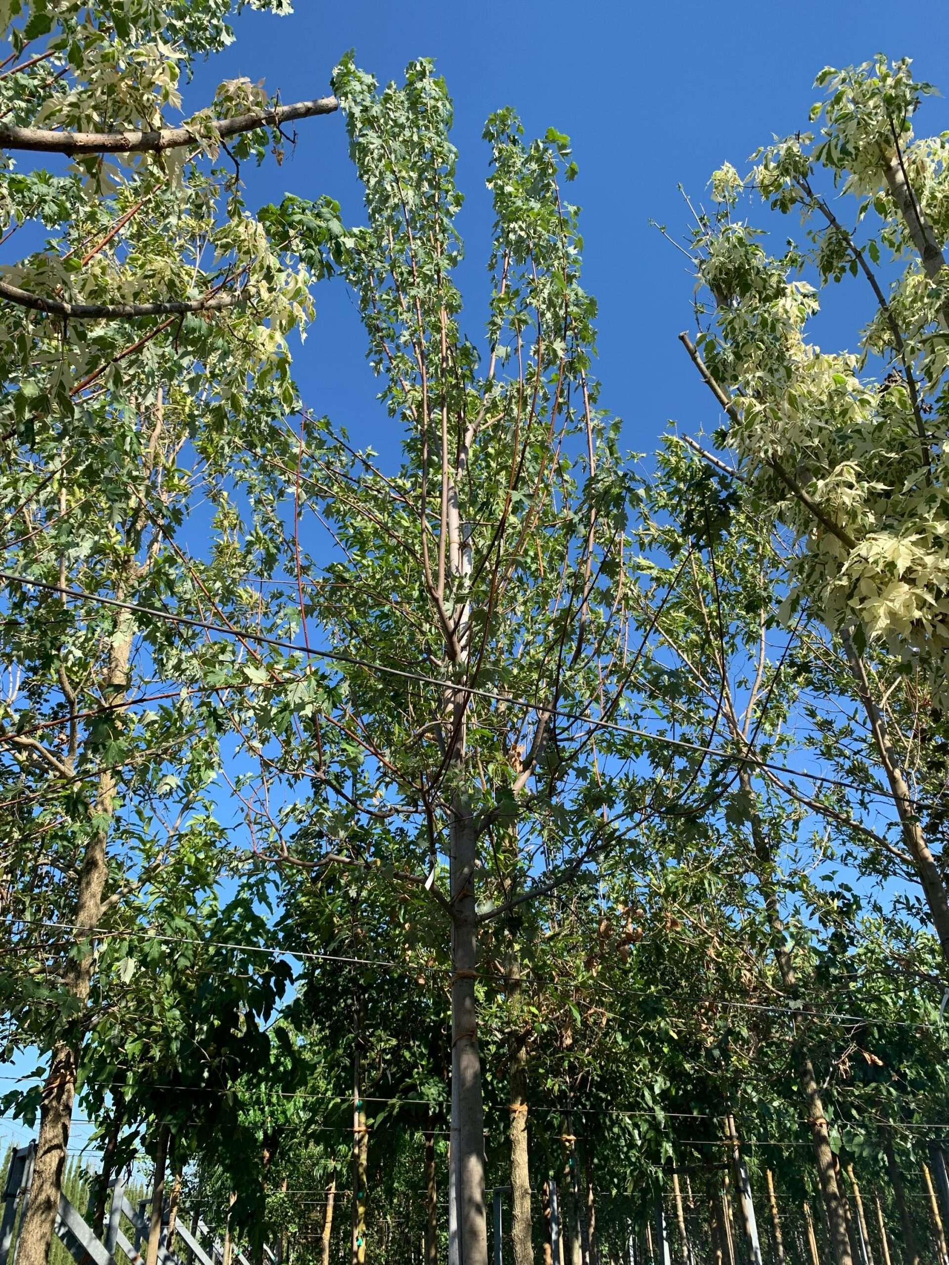 1657899147 scaled 4b78e494