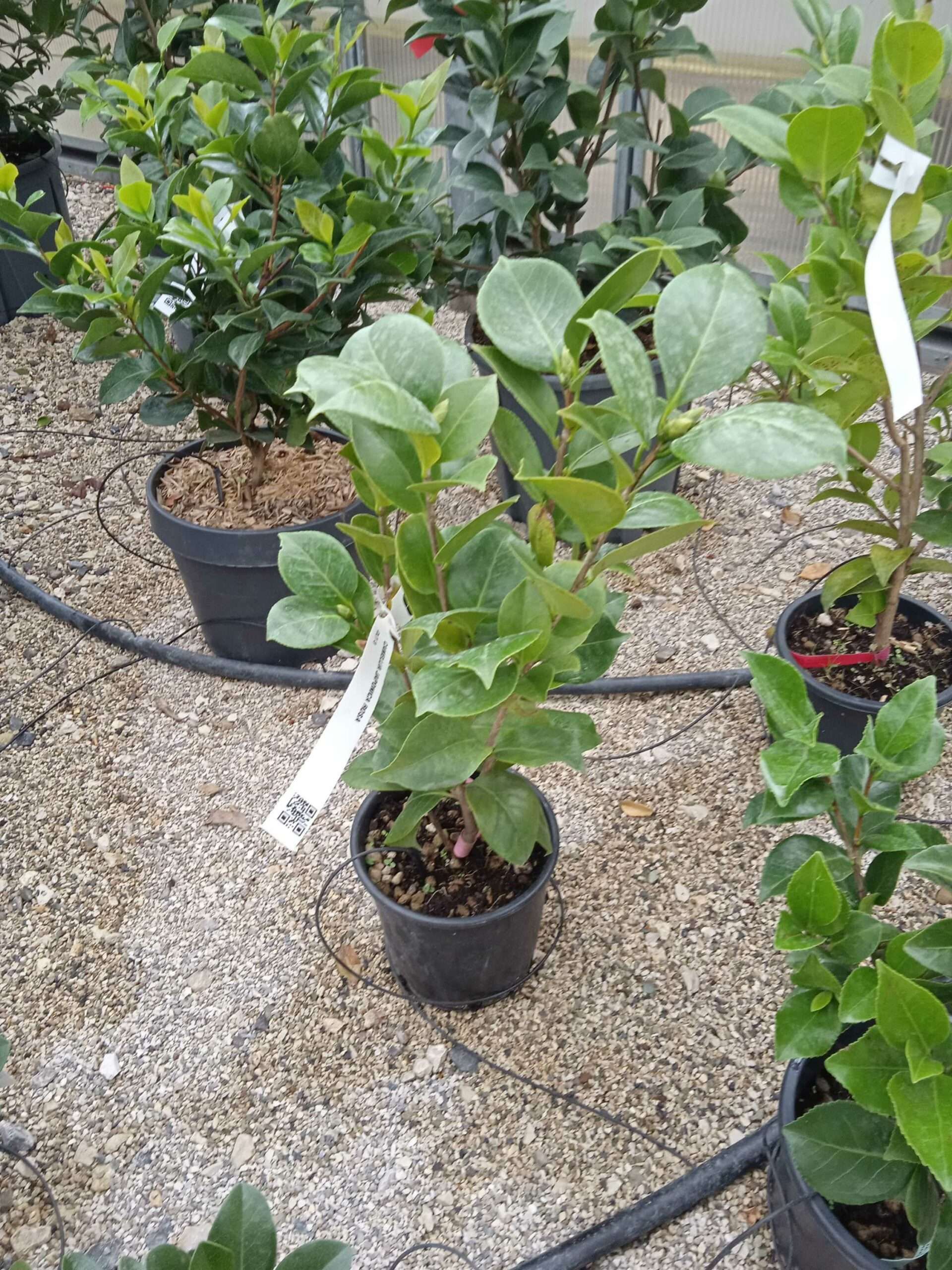 1662188531 scaled 4b9dc061