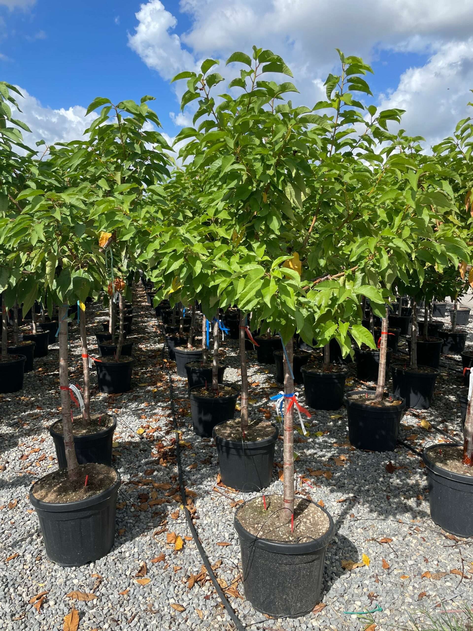 1662714508 scaled 4b7fce5f