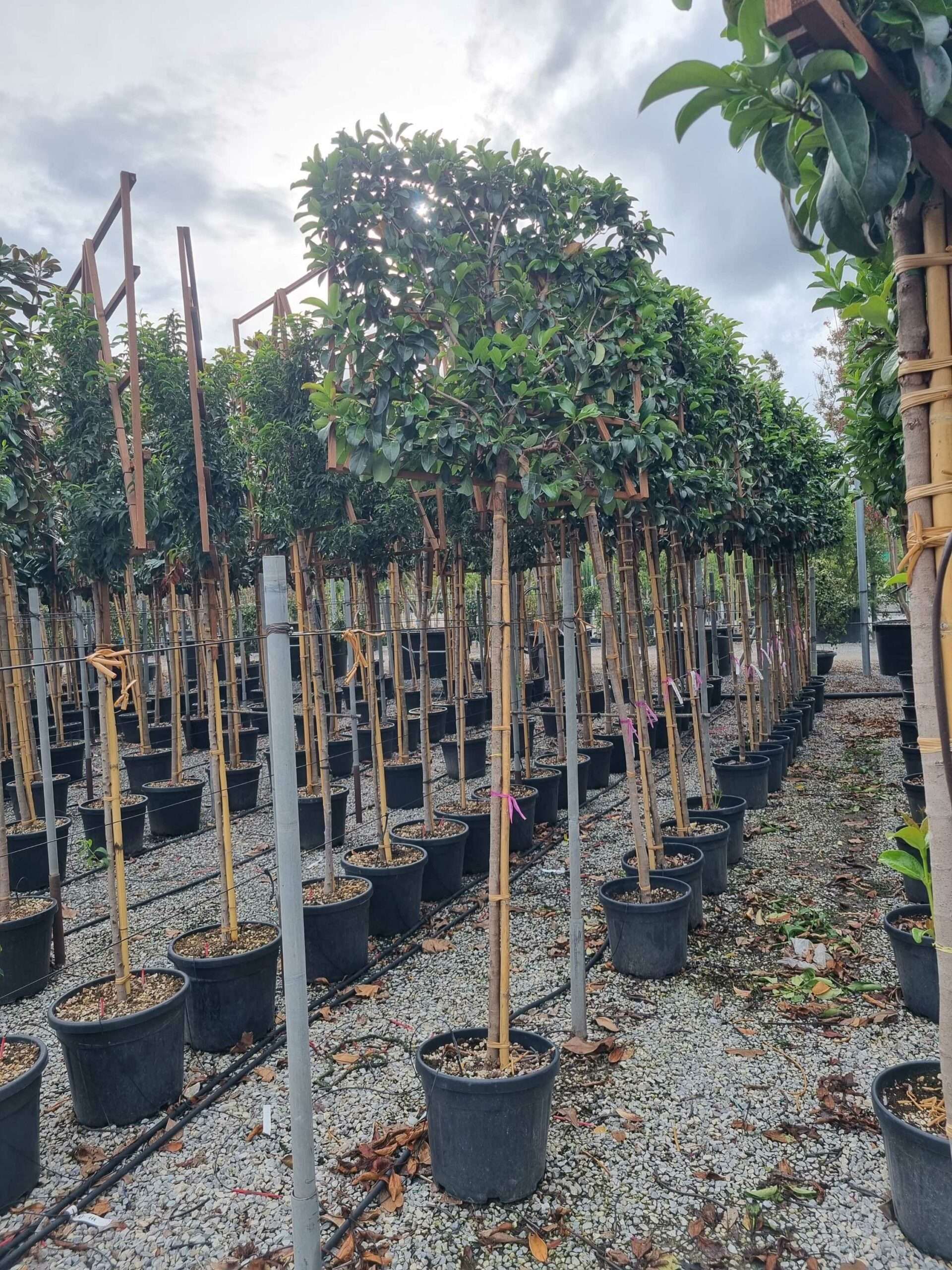 1664463455 scaled 4b5c0649