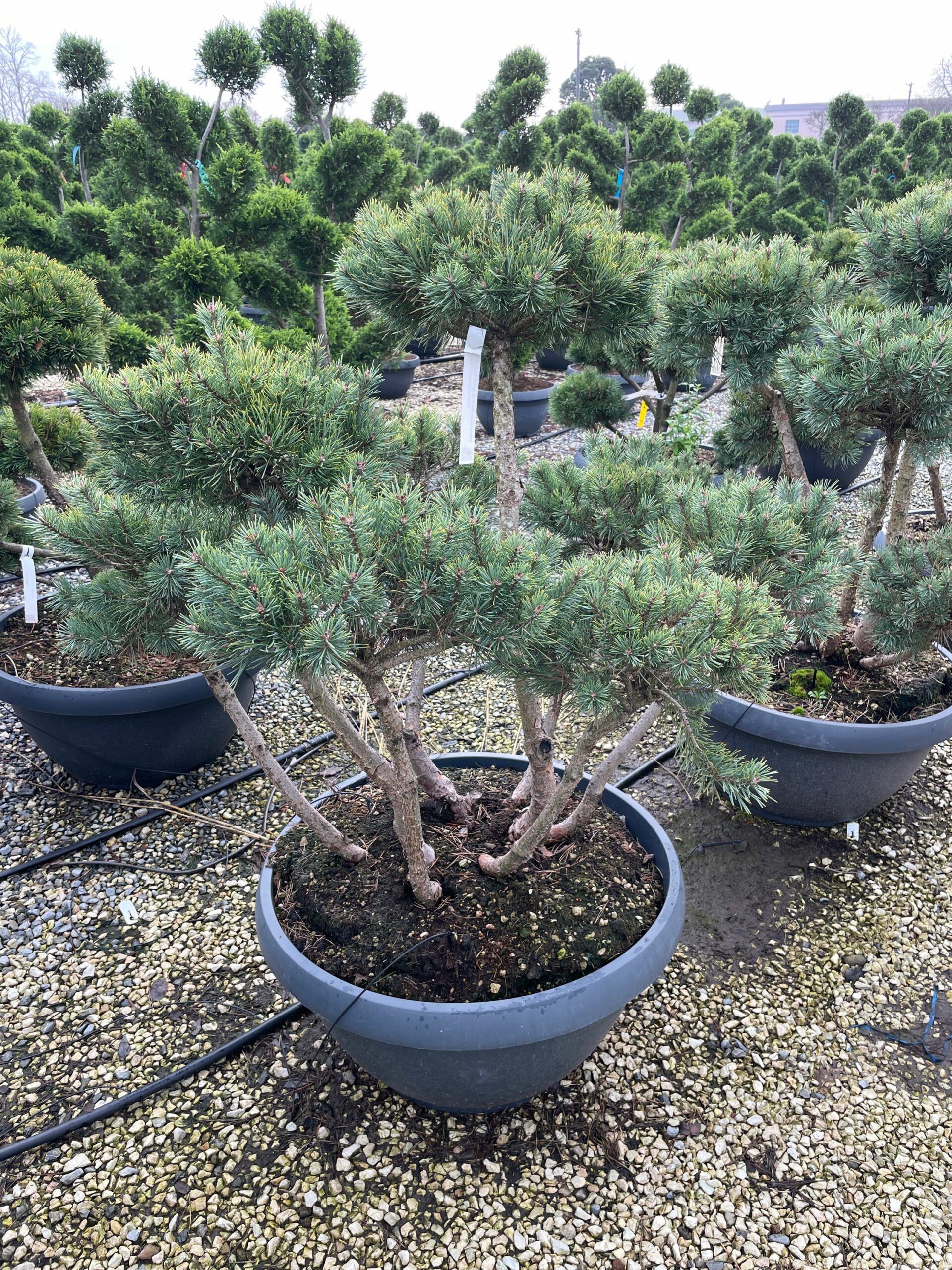 1672737093 scaled 4bd1403b