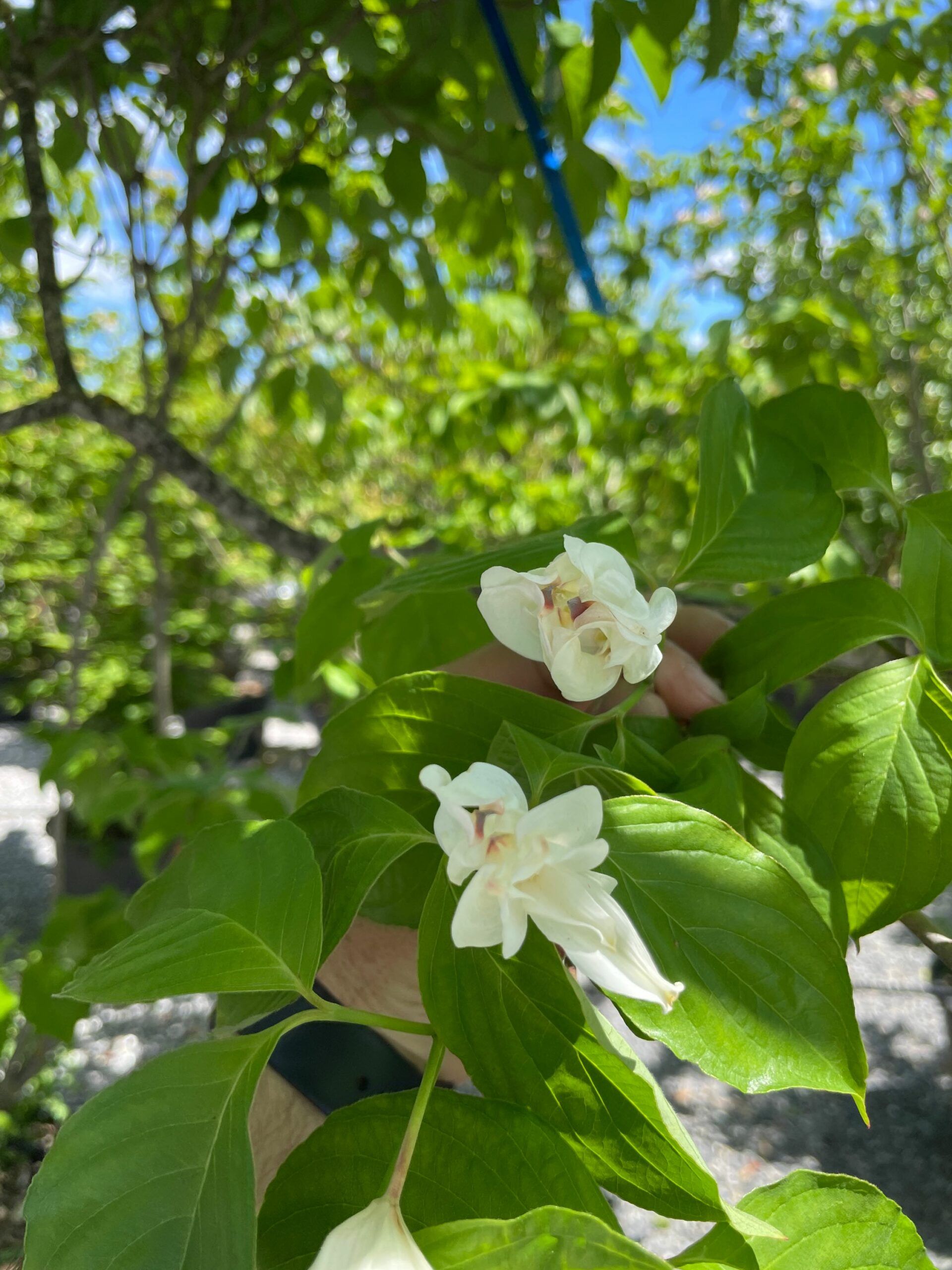 1683110880 scaled 4b4b9785