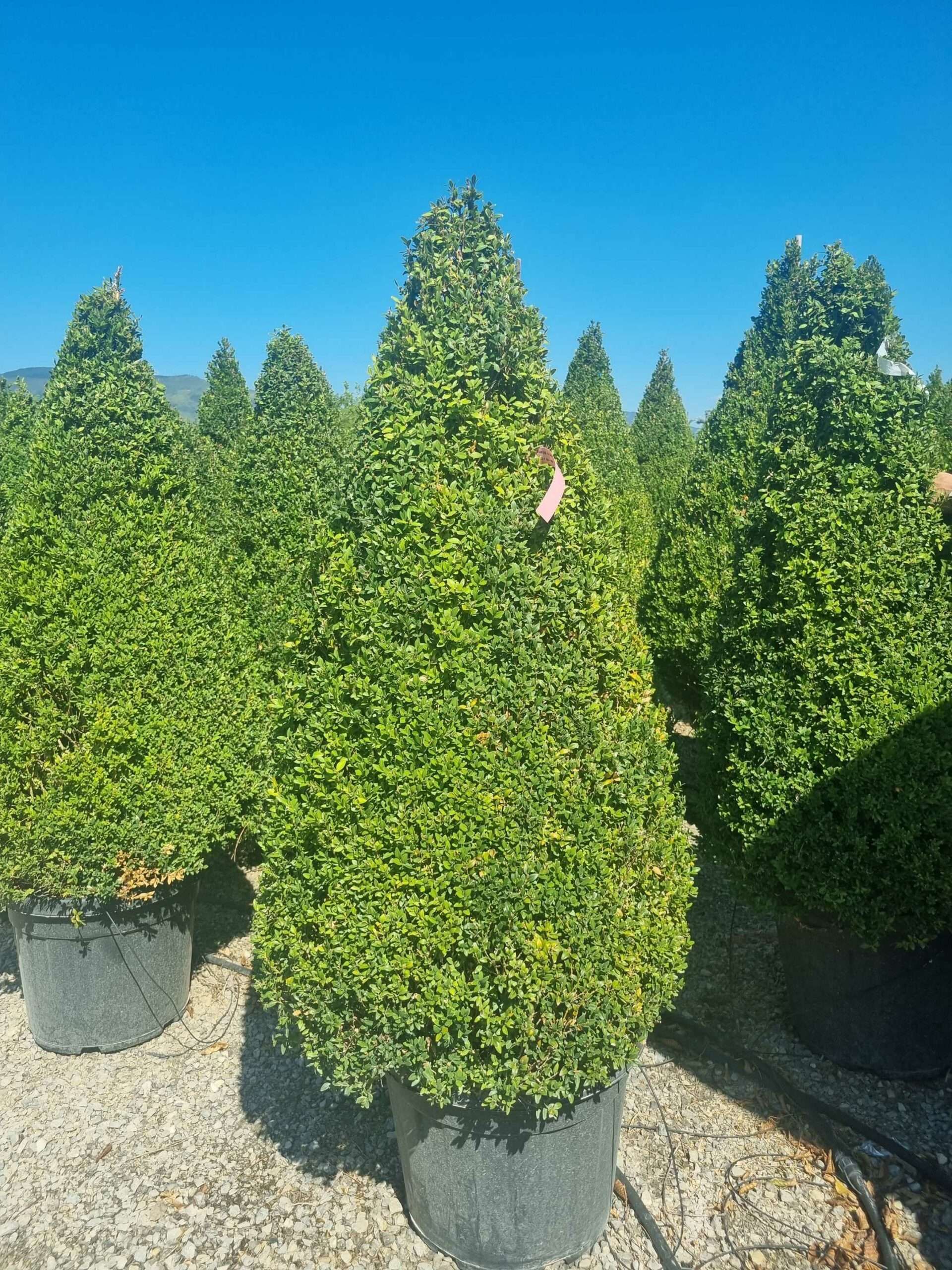 1694090984 scaled 4b1afb80