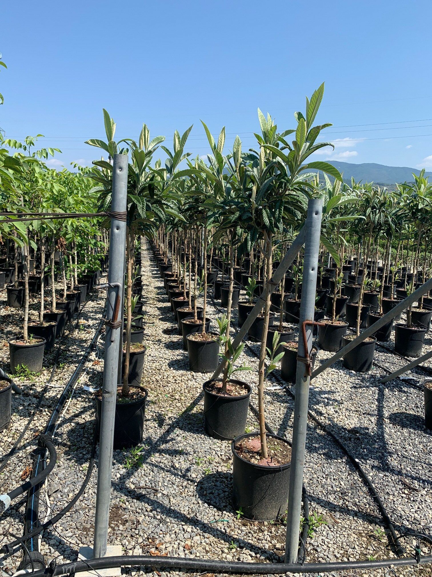 1606498727 rotated 4cb25a7a