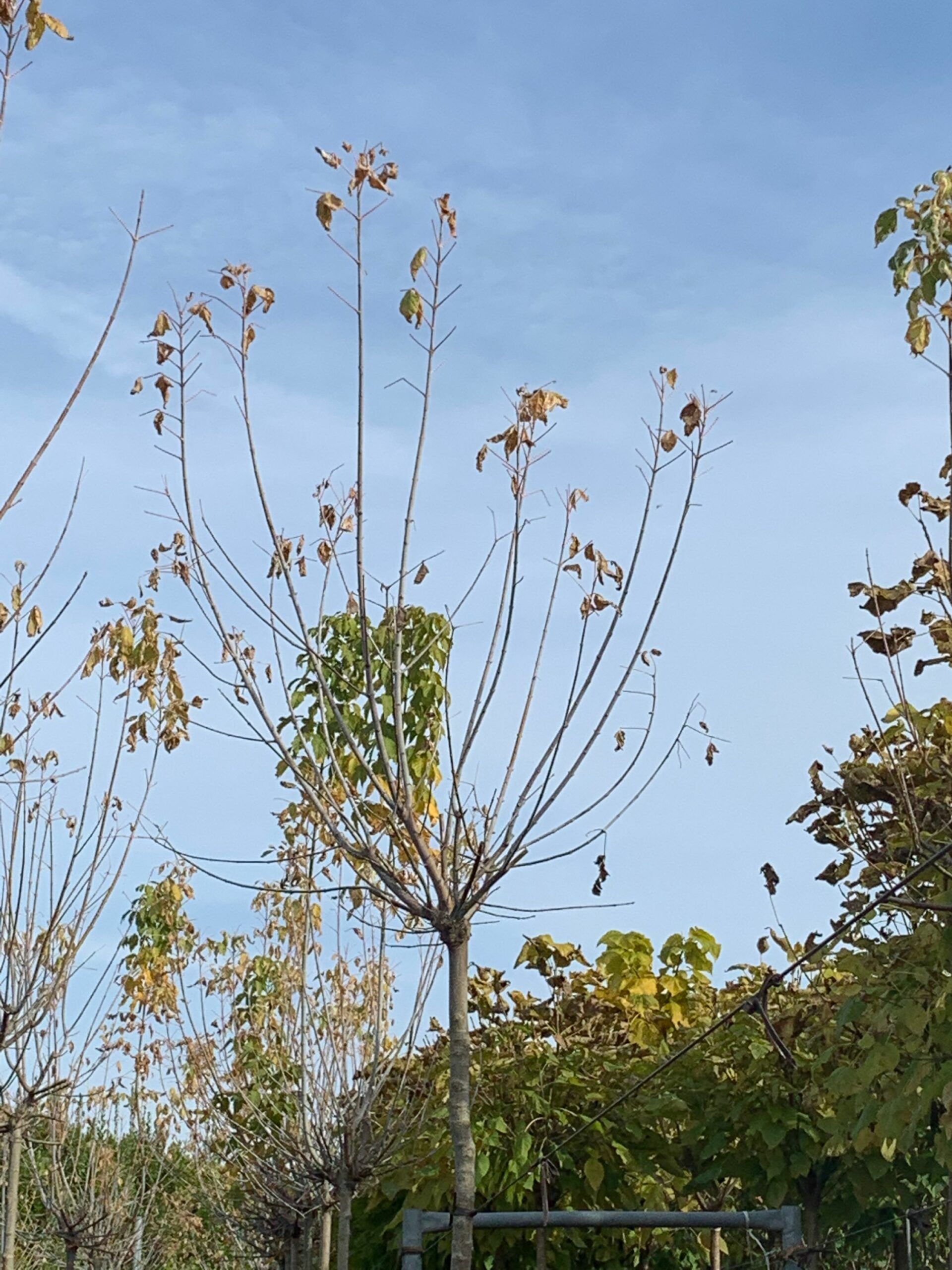 1635168658 scaled 4c453ee1