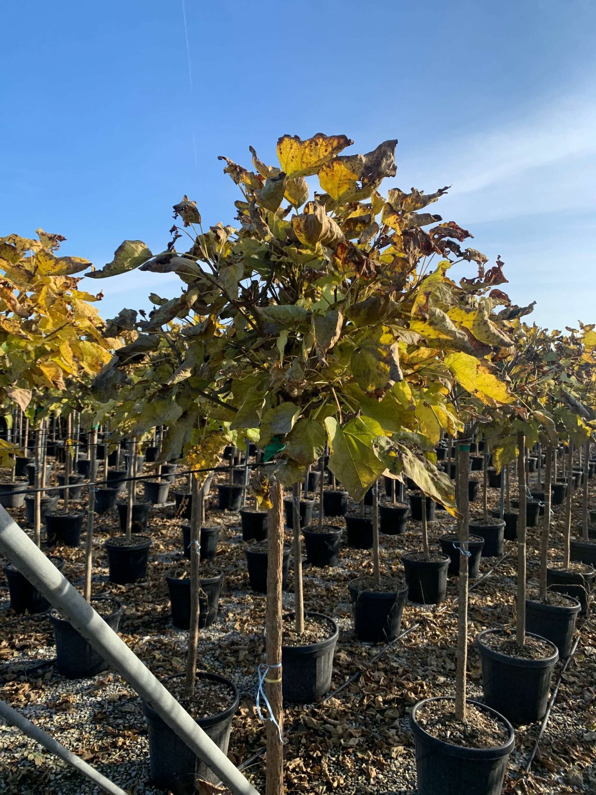 1635429197 scaled 4c7e50e3