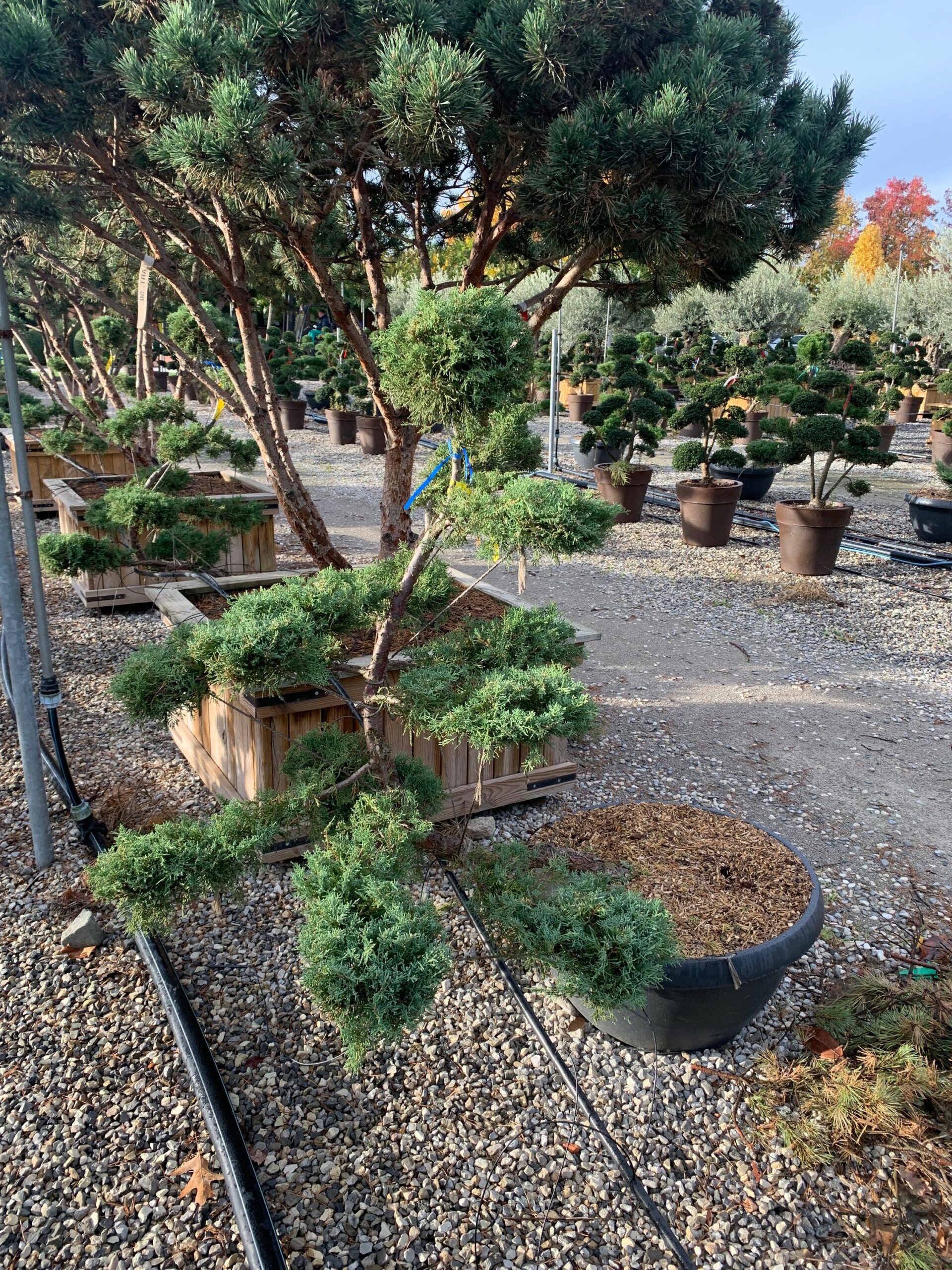 1636097475 scaled 4c2433b1