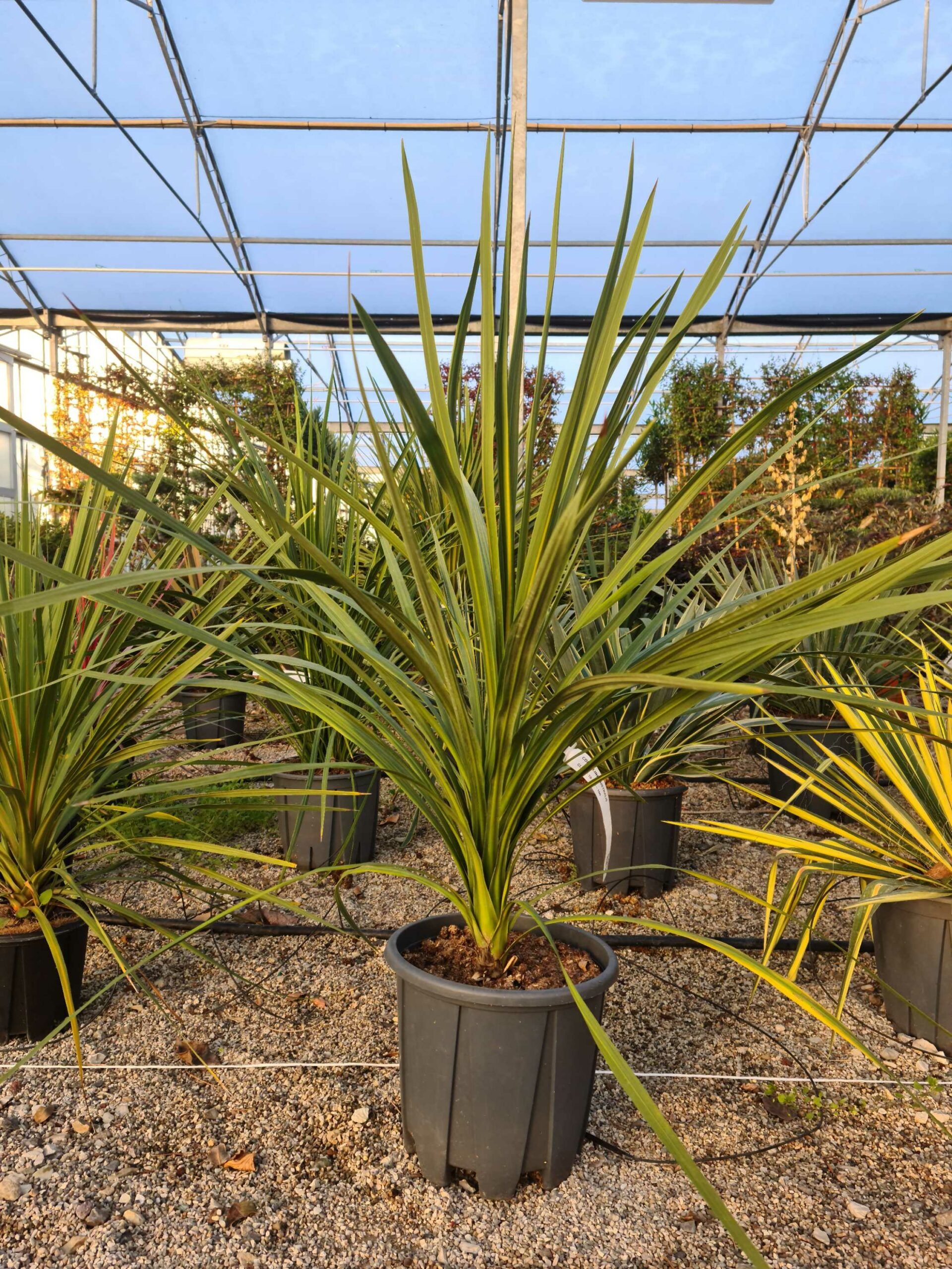 1639468077 scaled 4cdb13a1