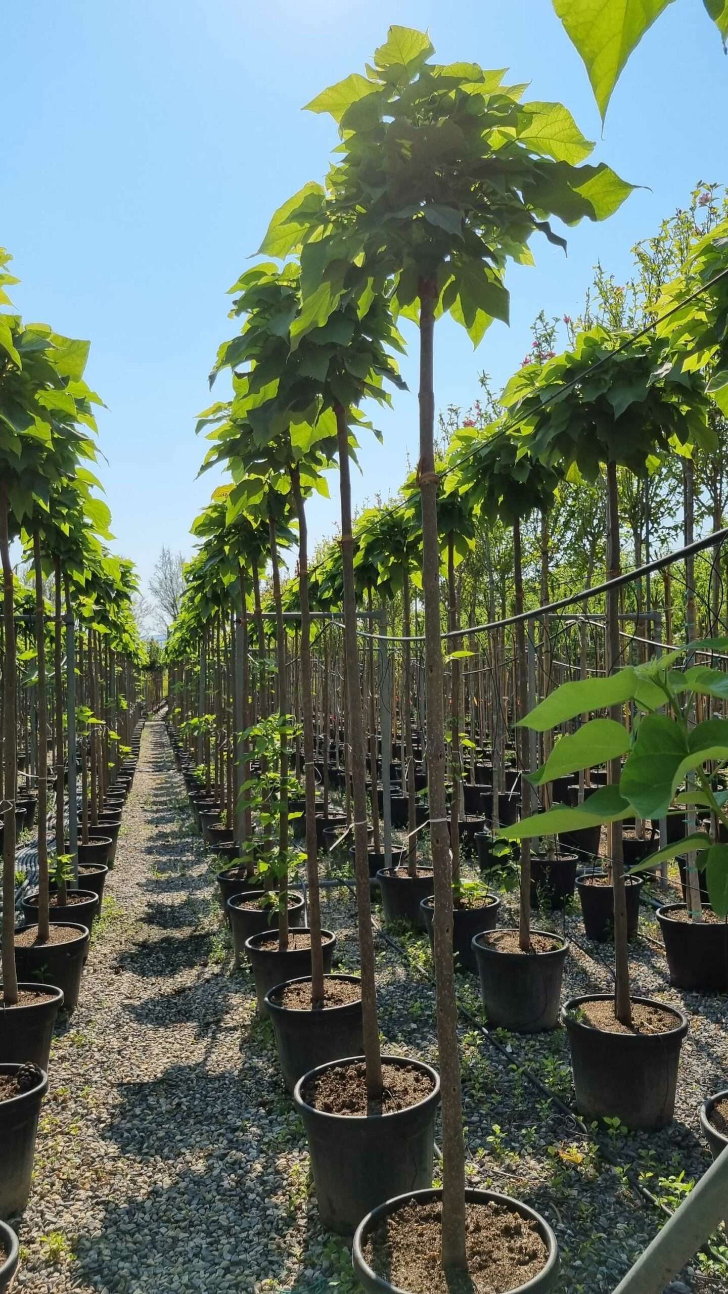 1658131284 scaled 4c04ee50