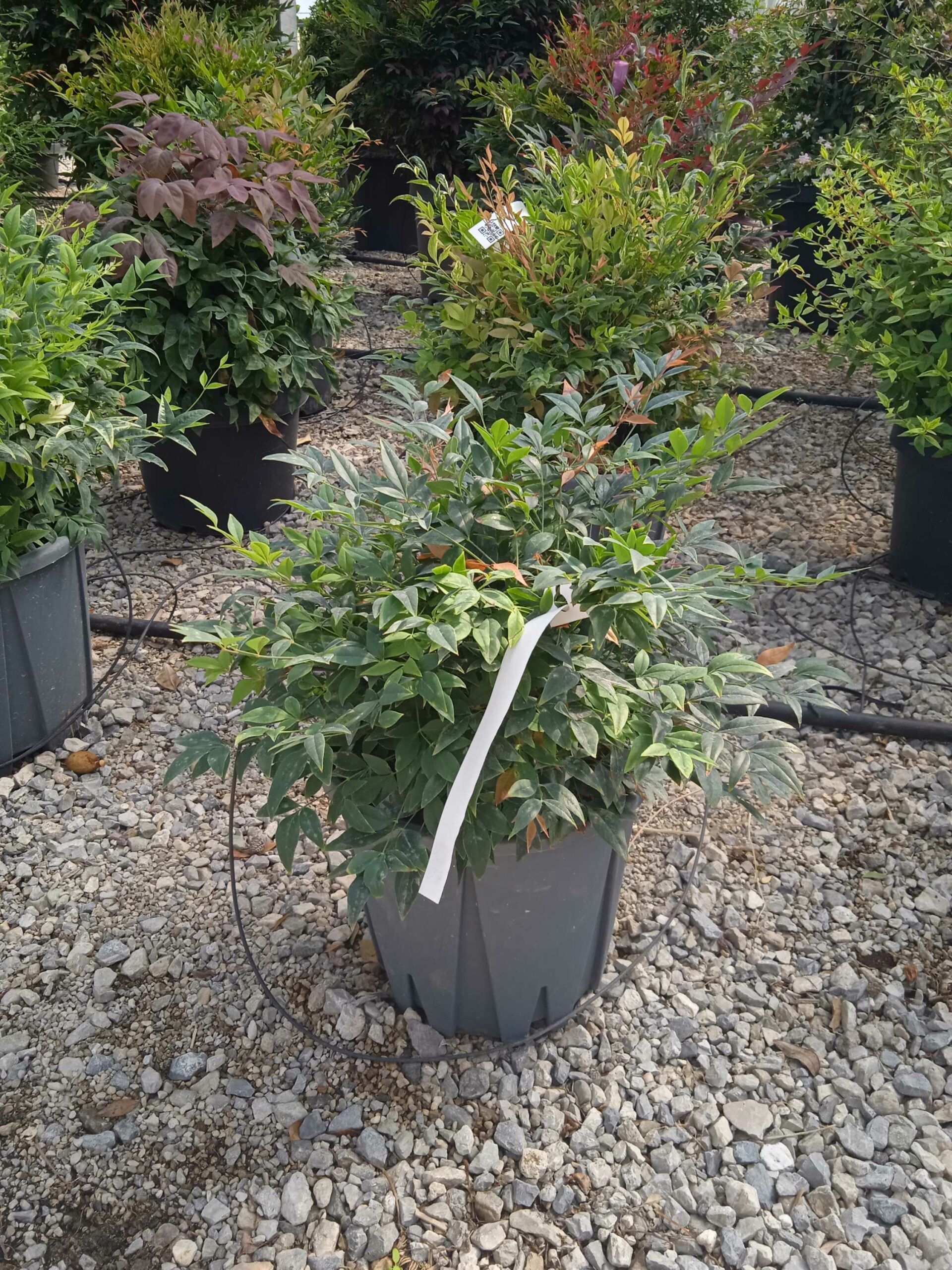 1662370543 scaled 4c4a9d47