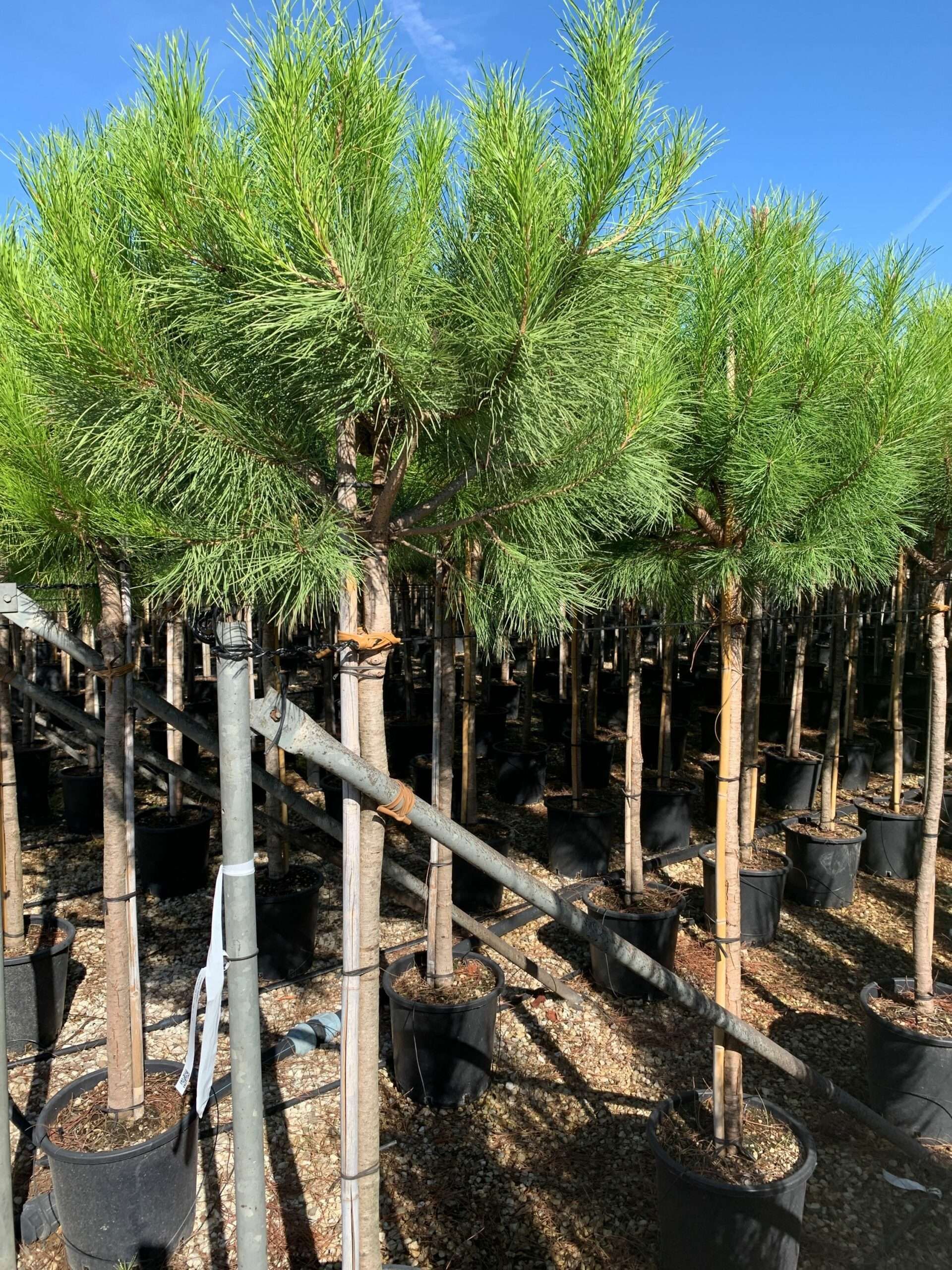 1662452309 scaled 4c09754f