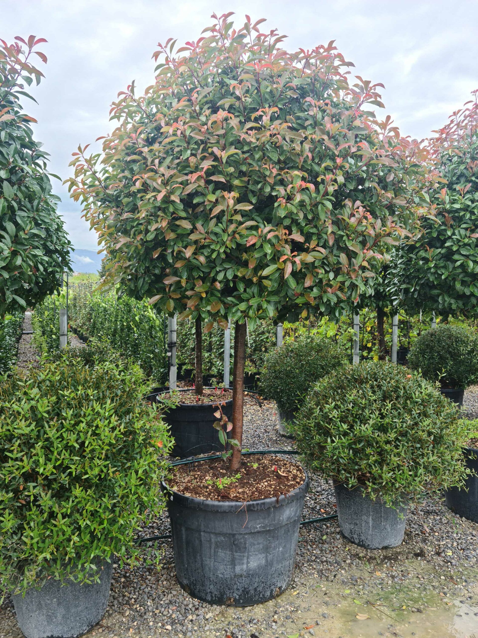 1664538693 scaled 4ca3ccd7