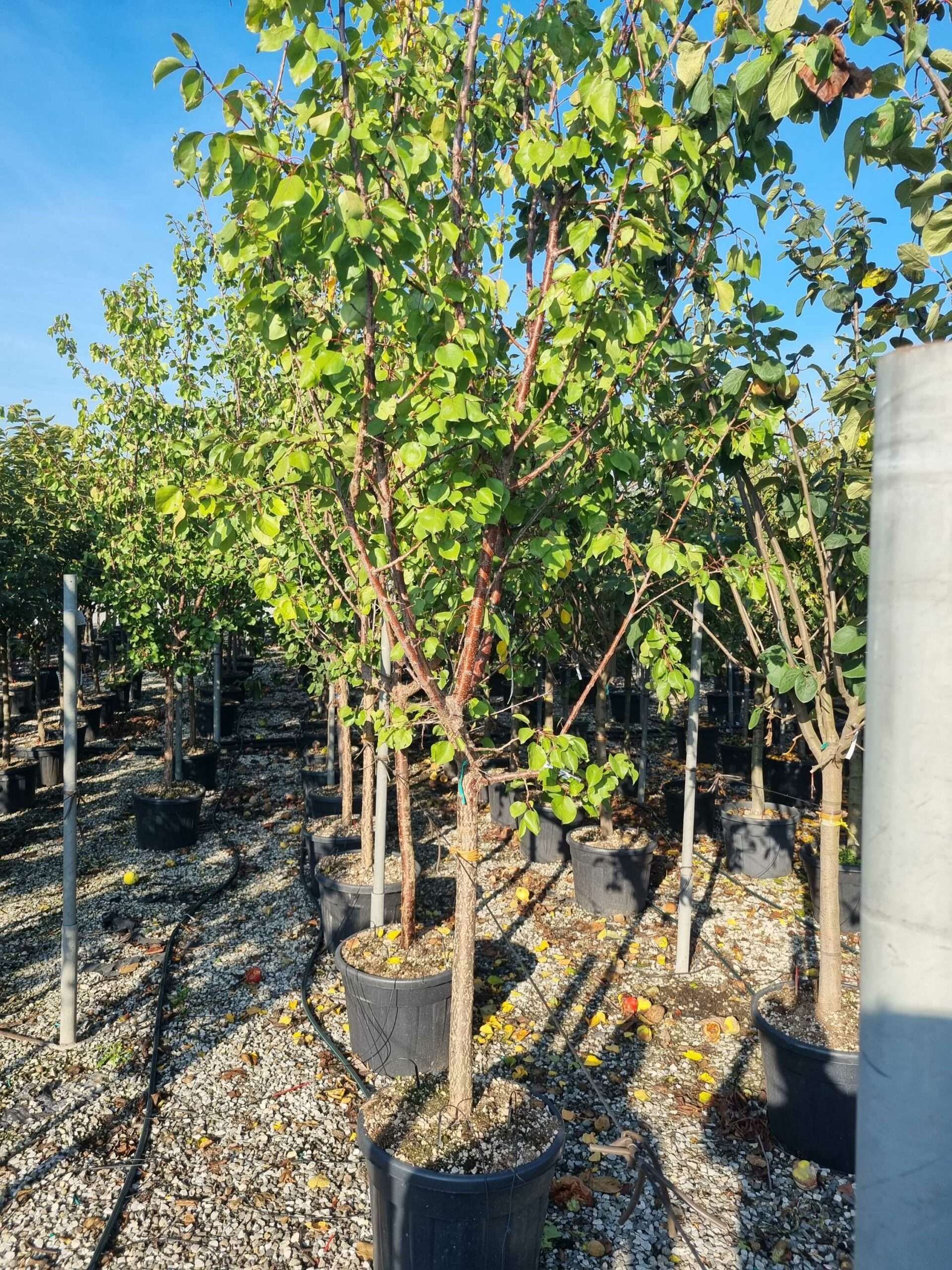 1665474740 scaled 4c80f1ad