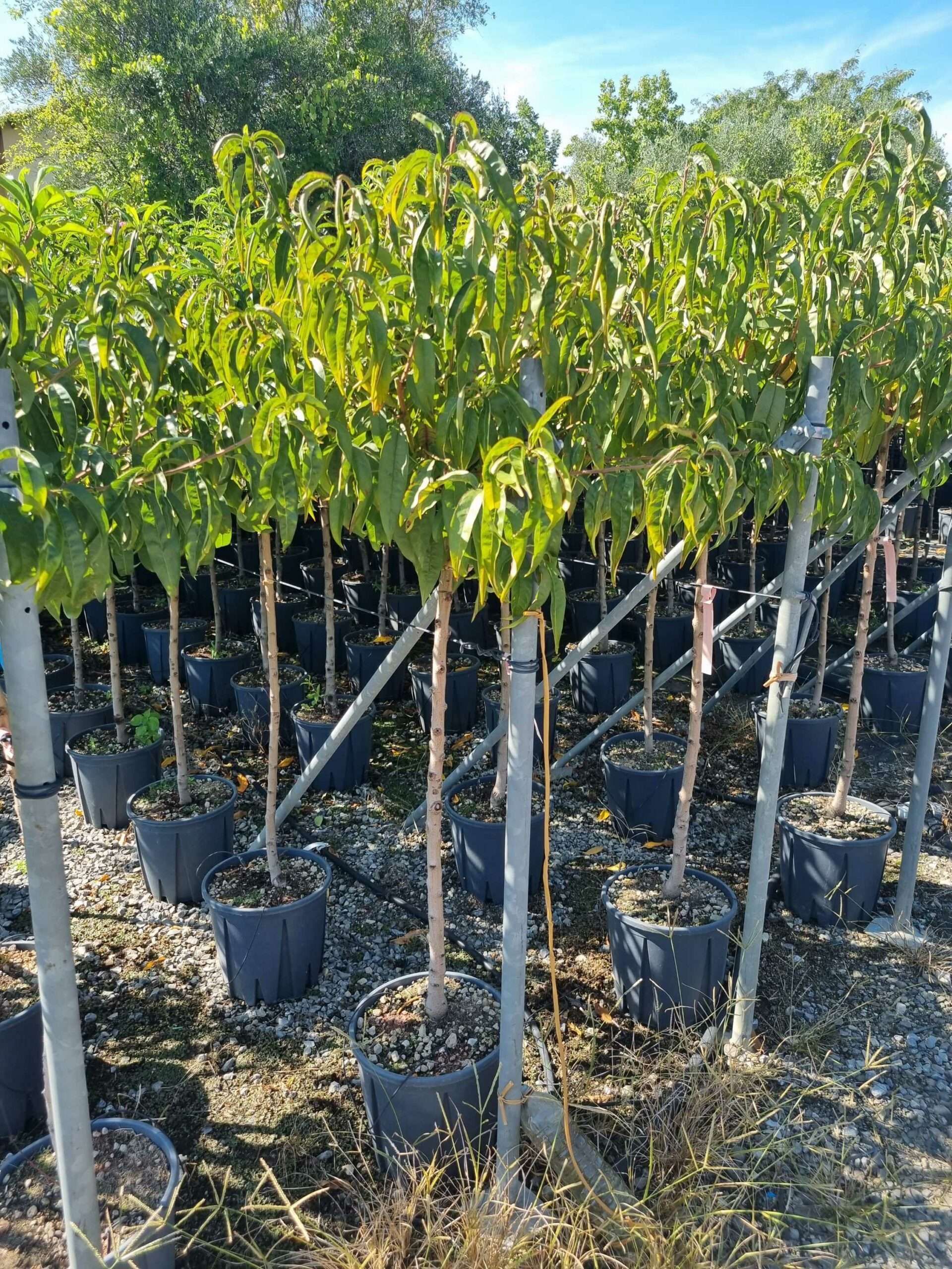 1694438375 scaled 4c61040c