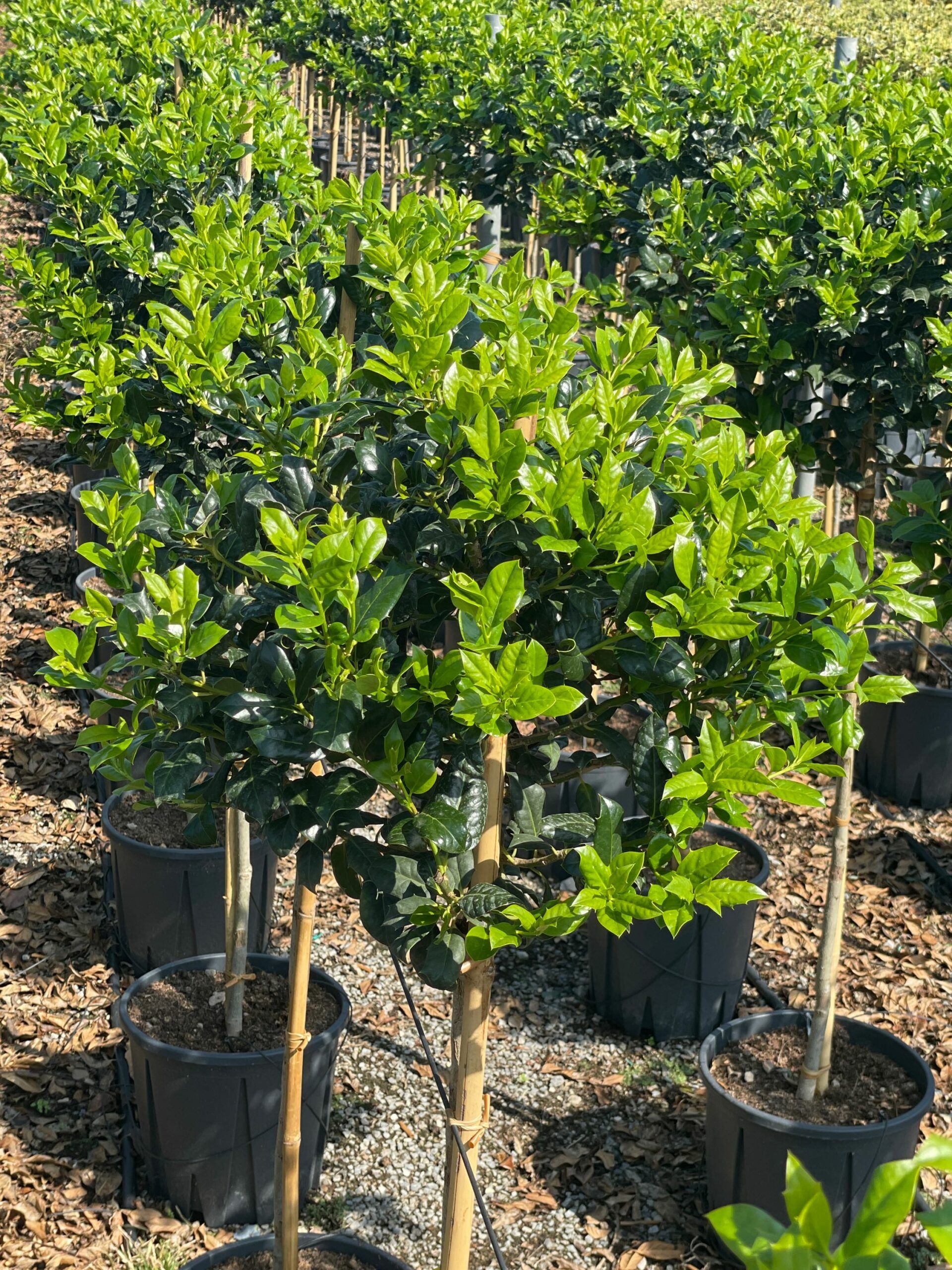 1694510583 scaled 4ce51c1f