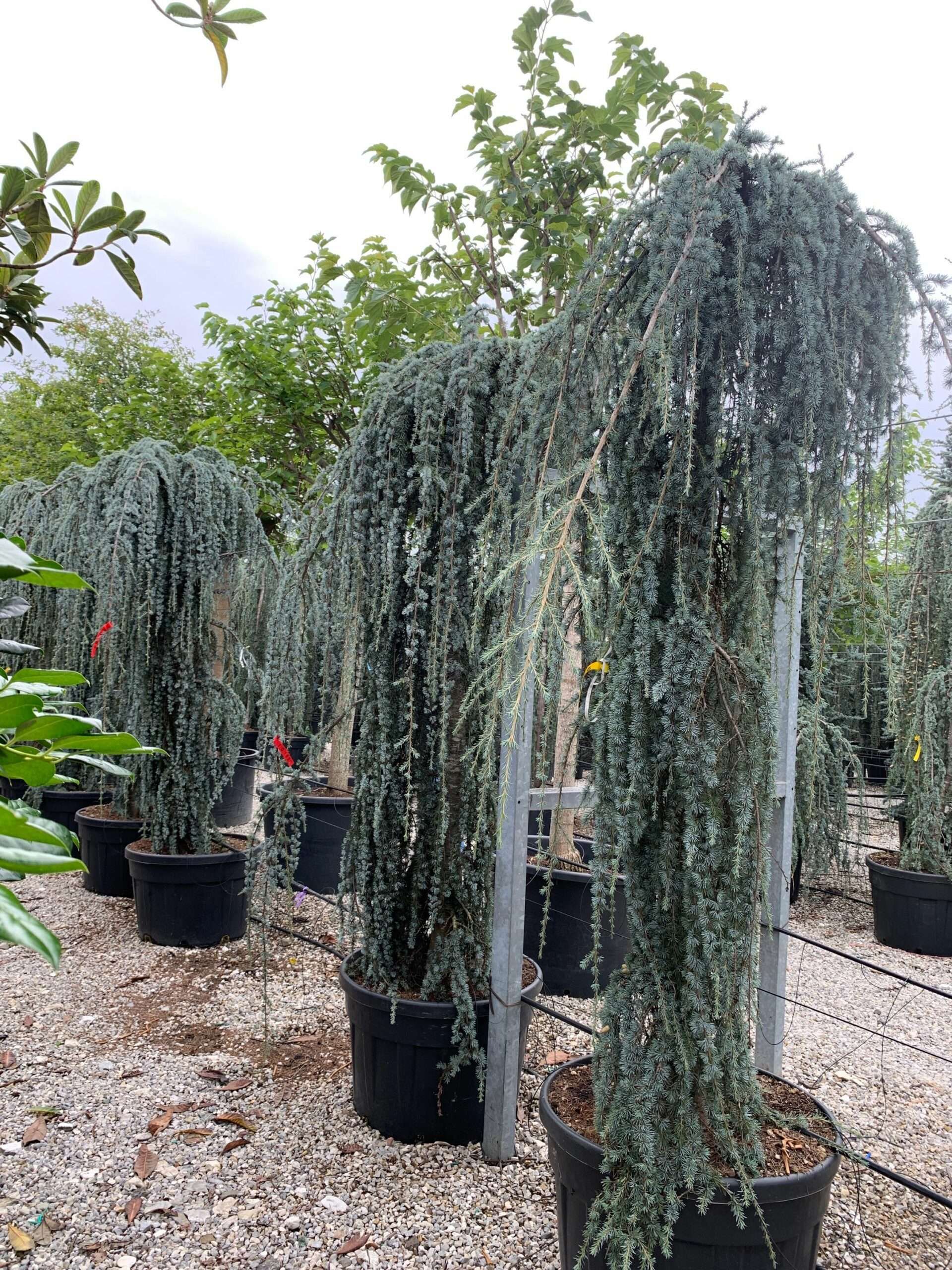 1633436531 scaled 4d3c3d53