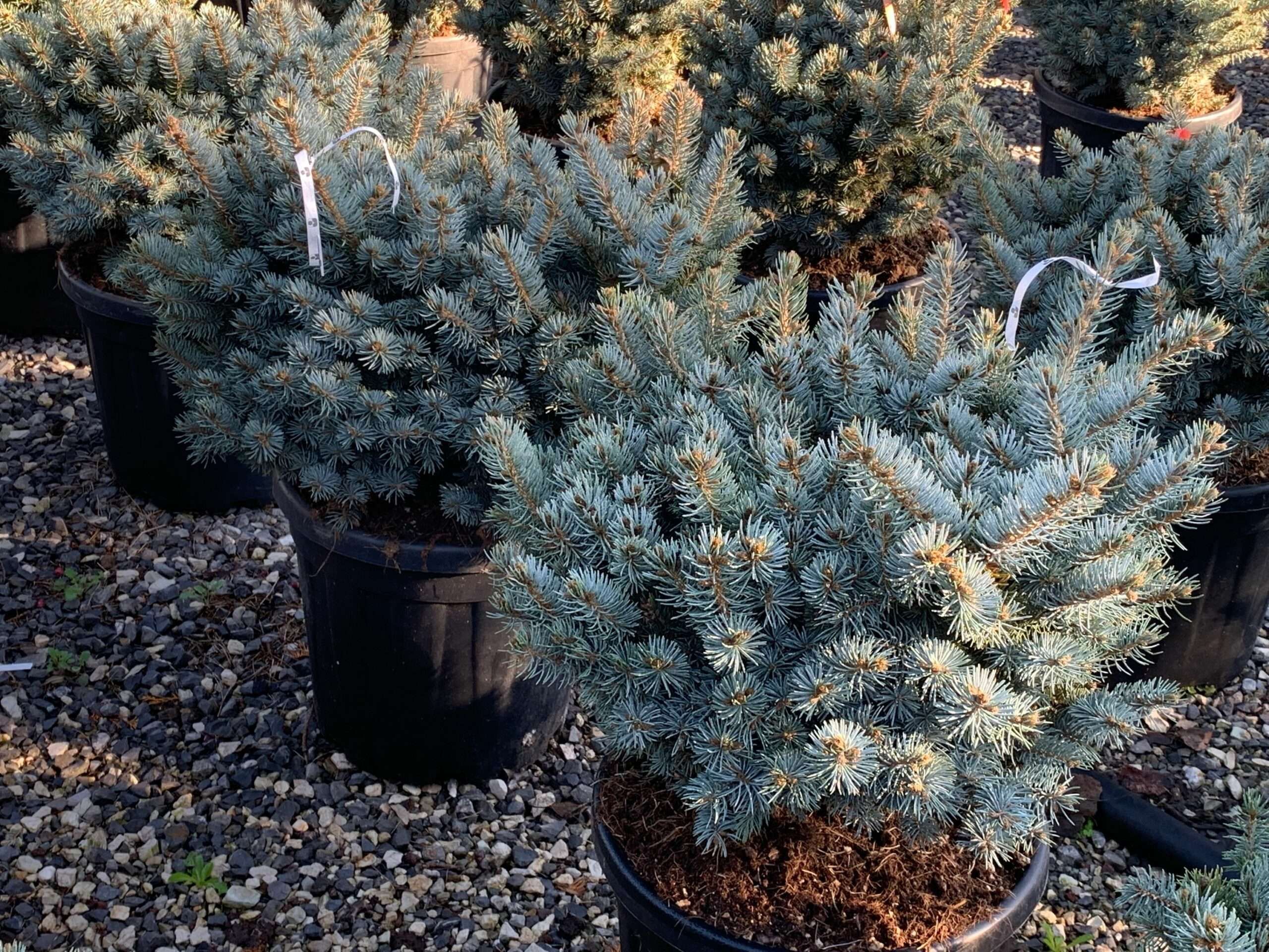 1637312391 scaled 4dd53ffb