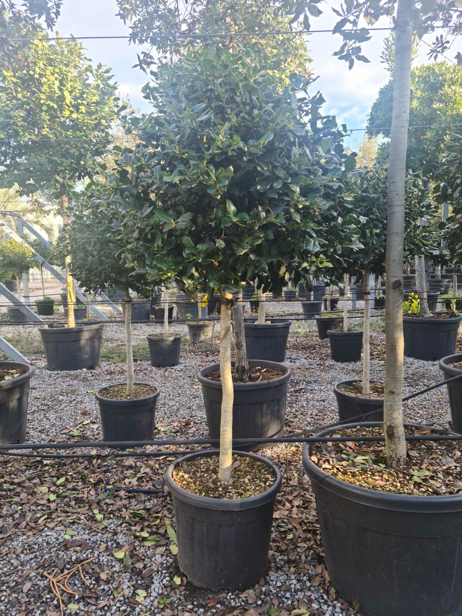 1639403998 scaled 4d6d3ecc