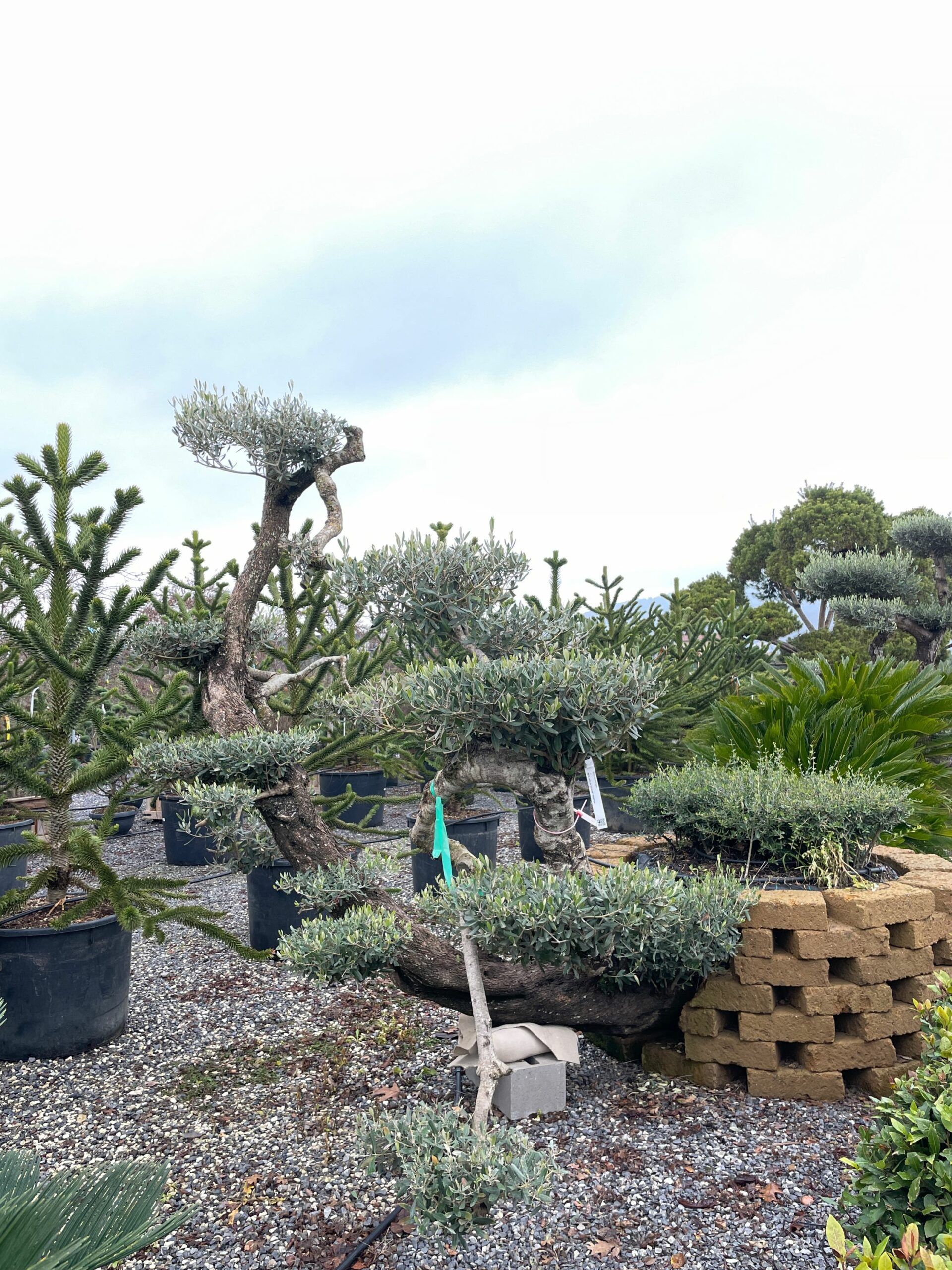 1641210729 scaled 4d77f69a