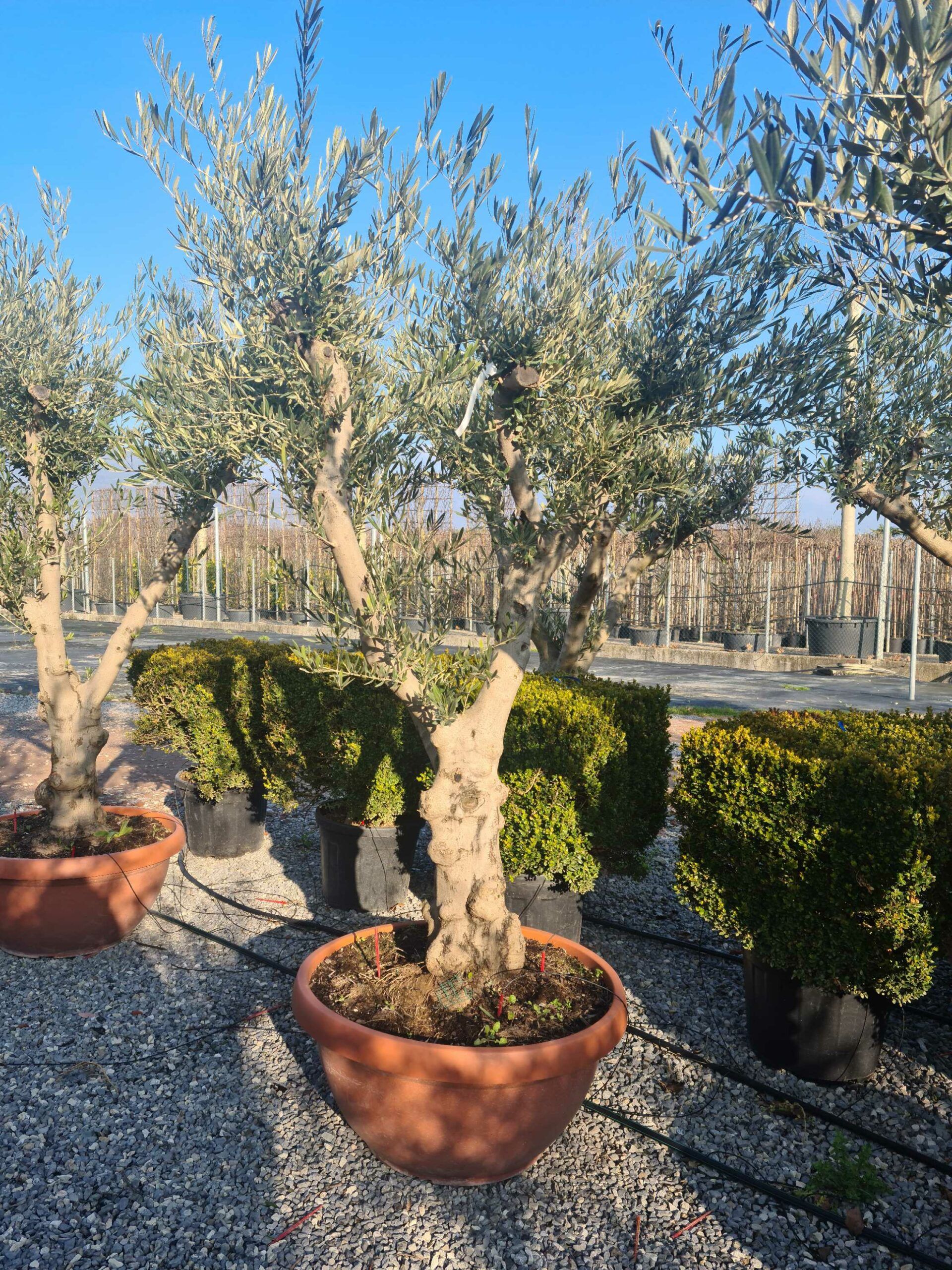 1642773326 scaled 4d9c0964