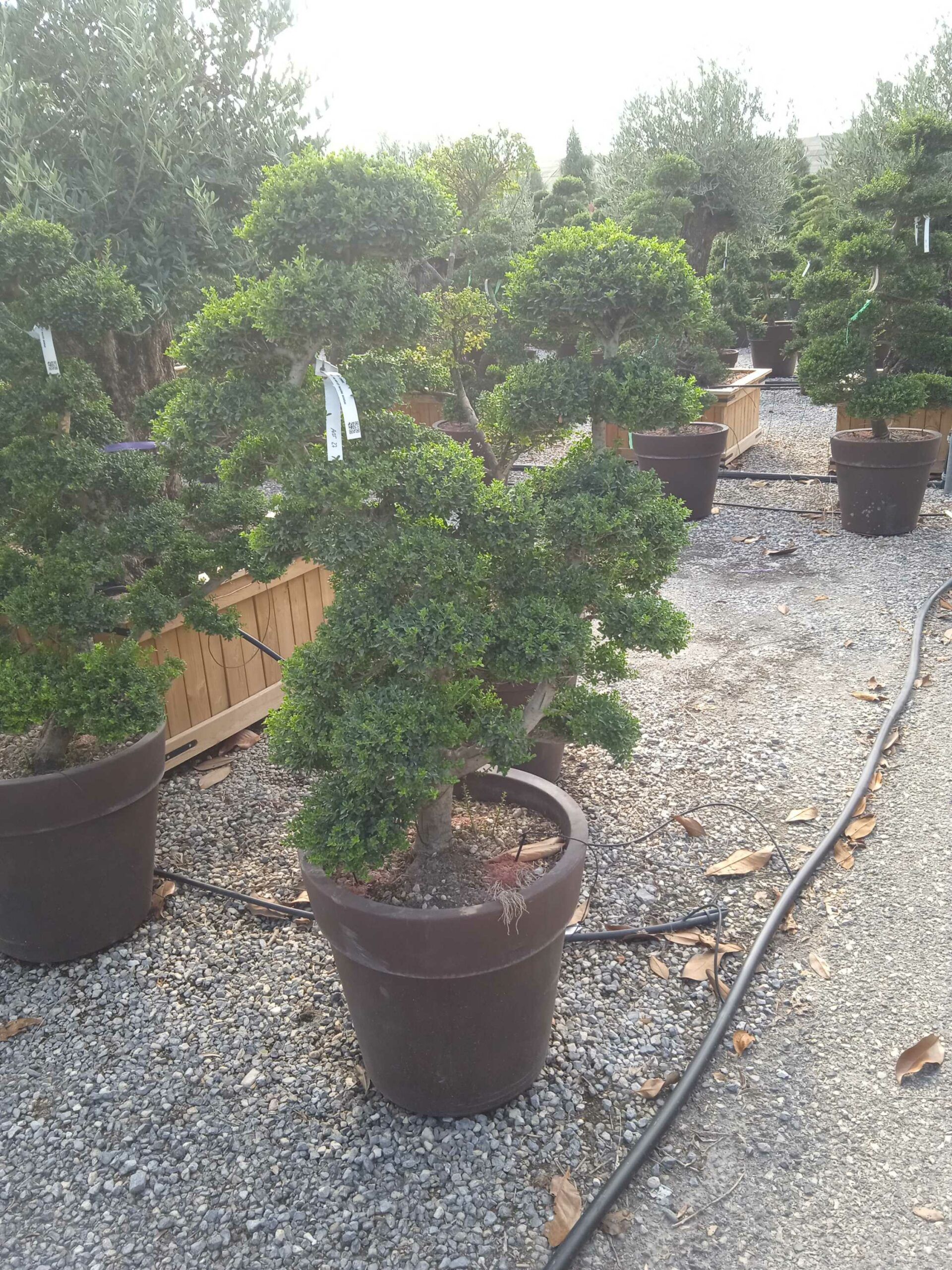 1661783041 scaled 4d20772a