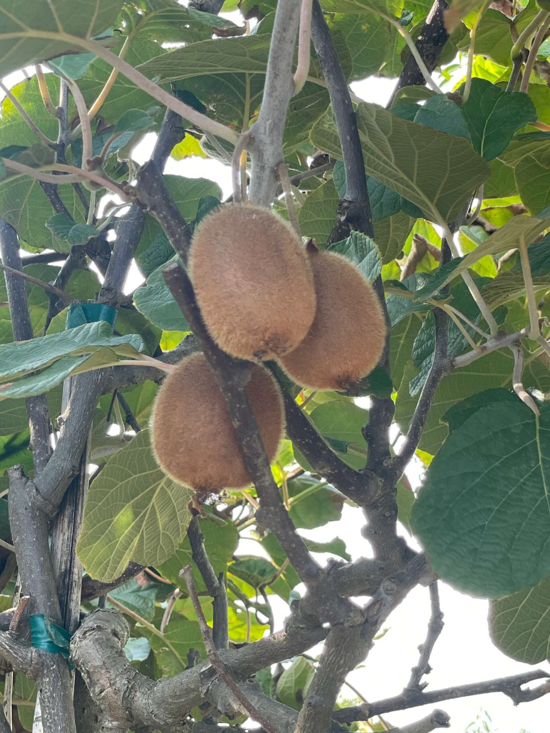 1662130656 scaled 4dcb5672