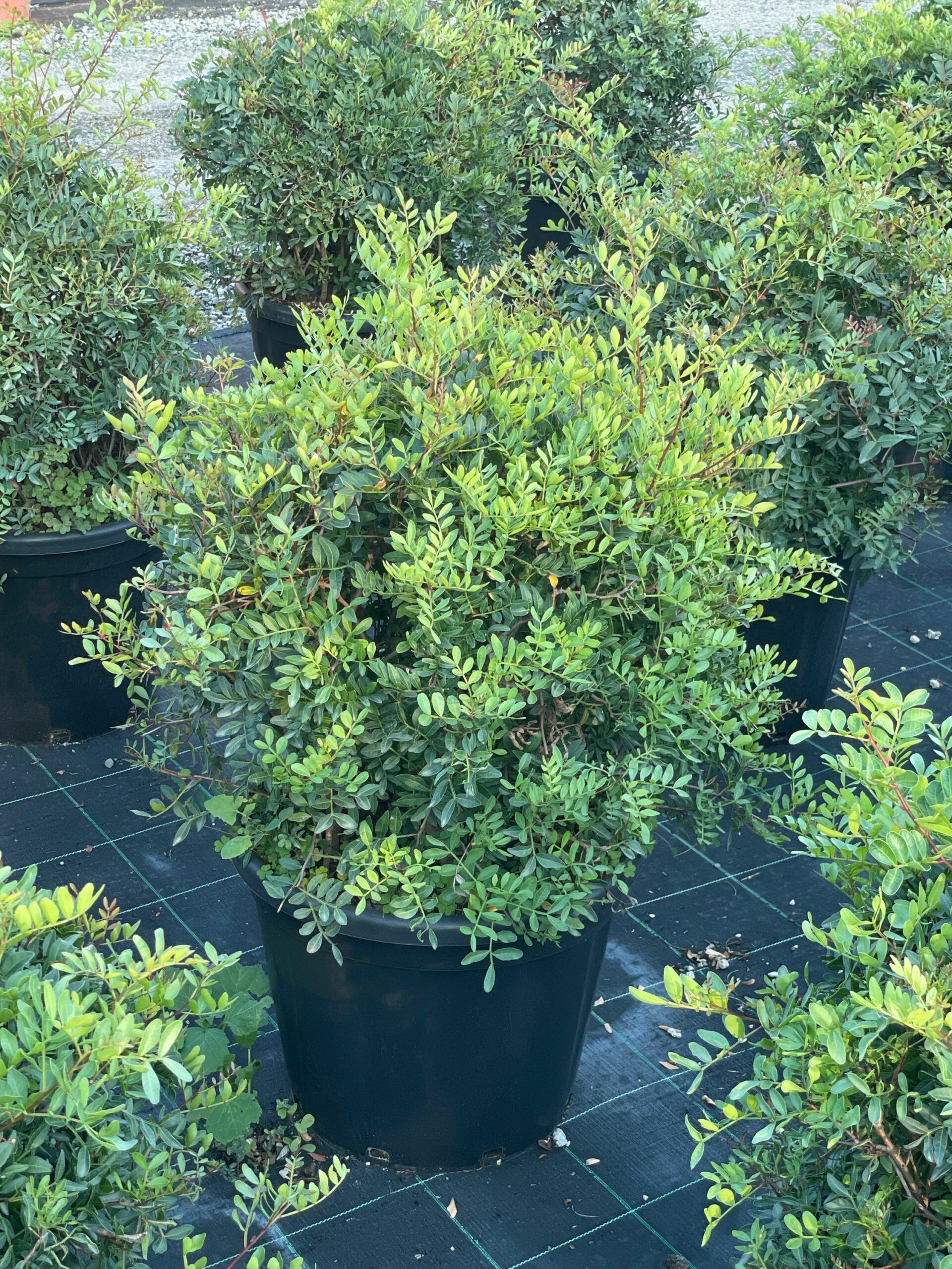 1692724431 scaled 4d71018c