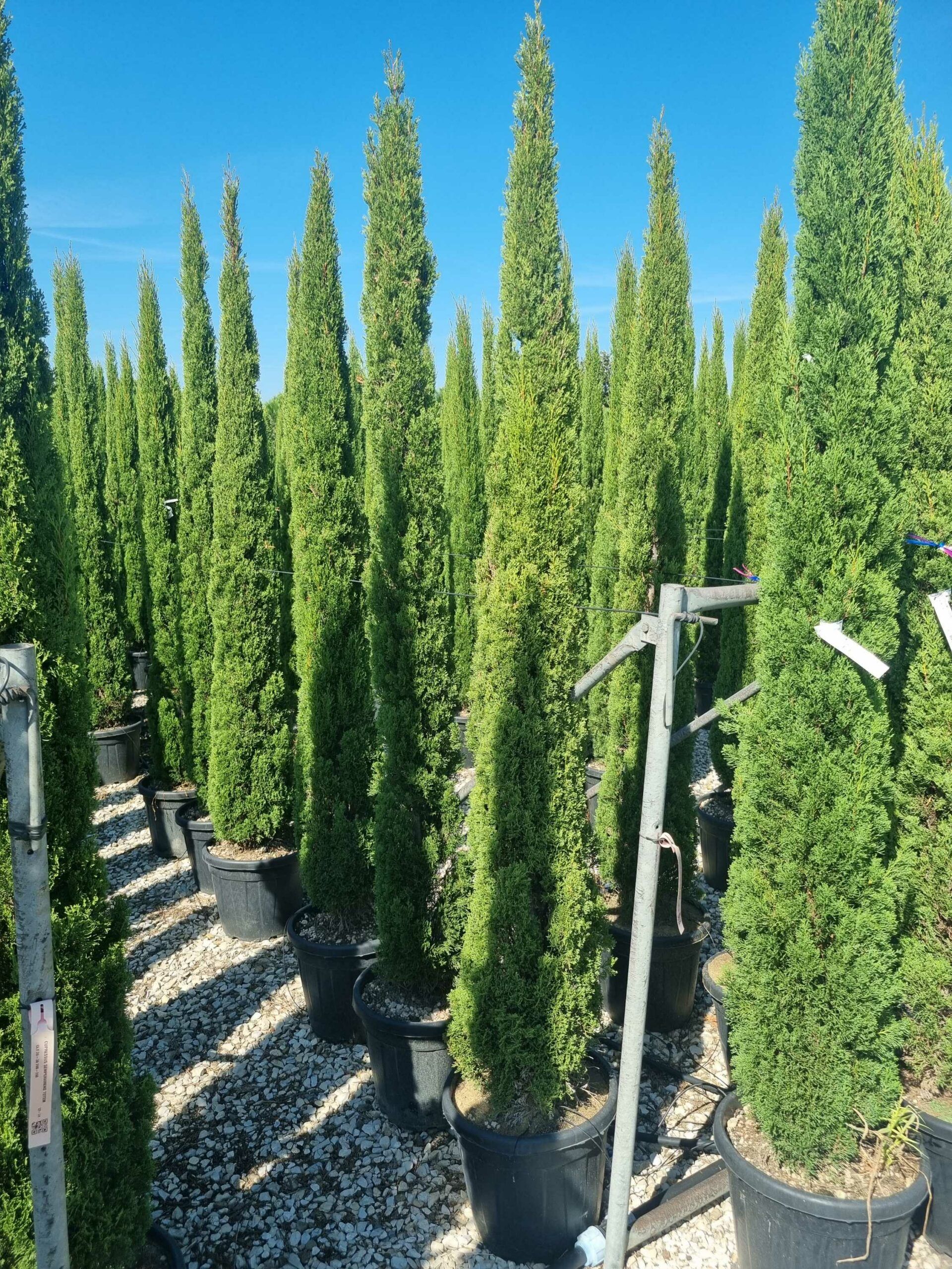 1695809456 scaled 4d0c15b5