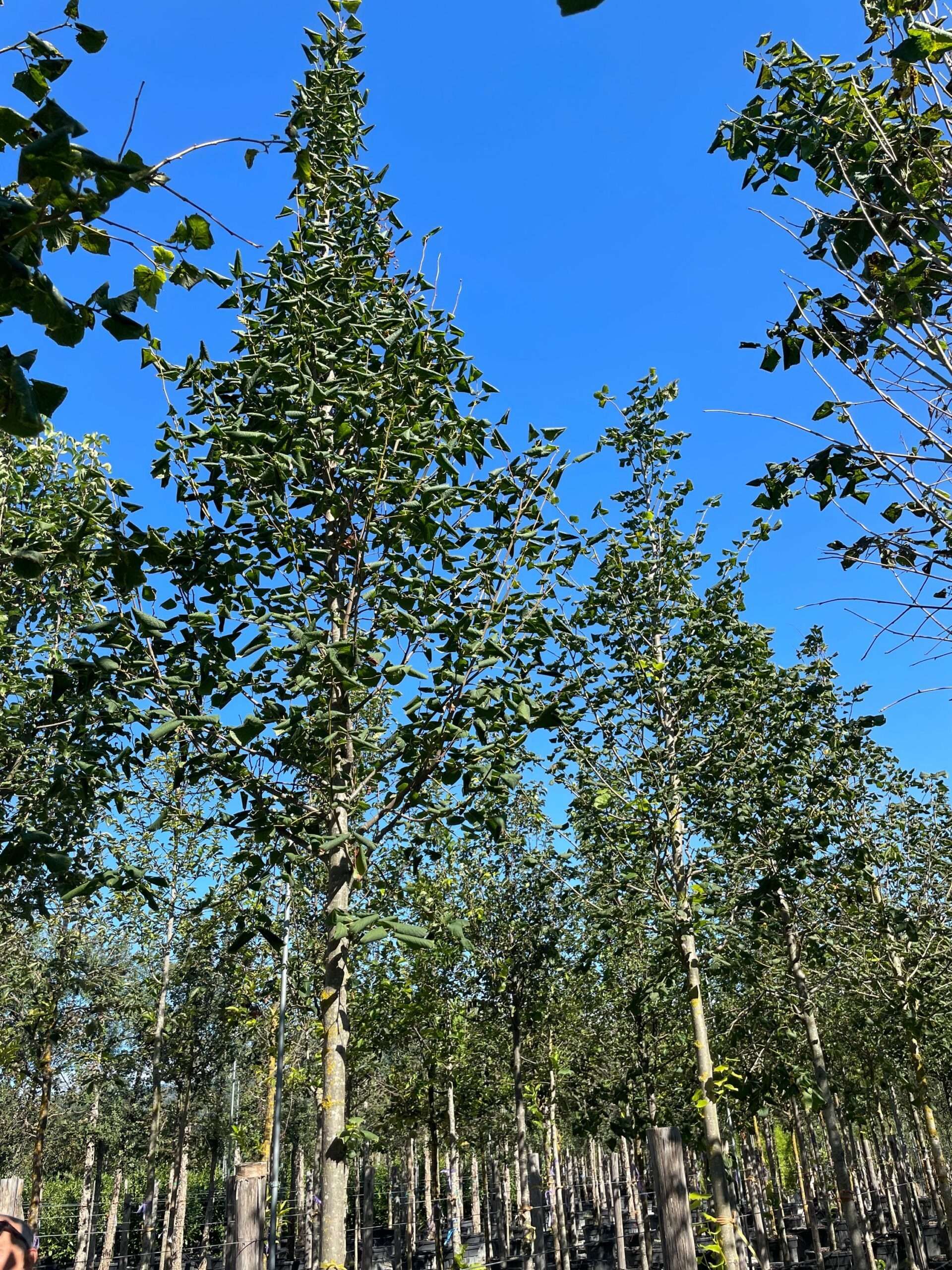 1632214274 scaled 4e1a9ecc