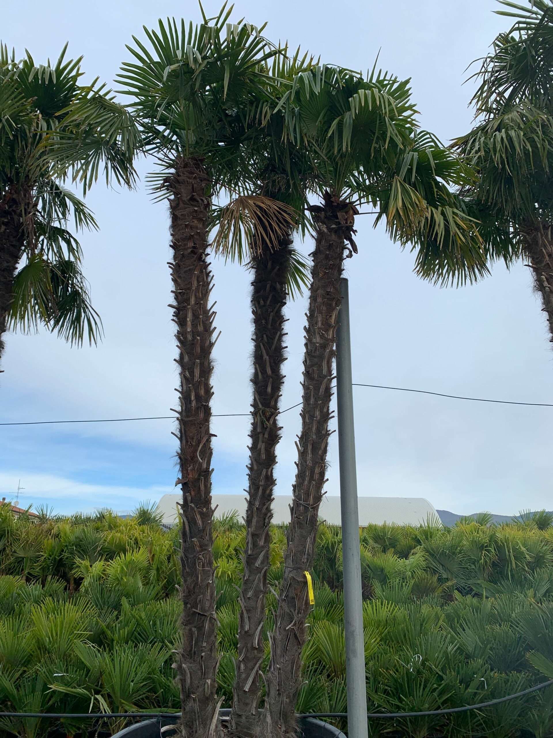 1636102601 scaled 4e61b16a