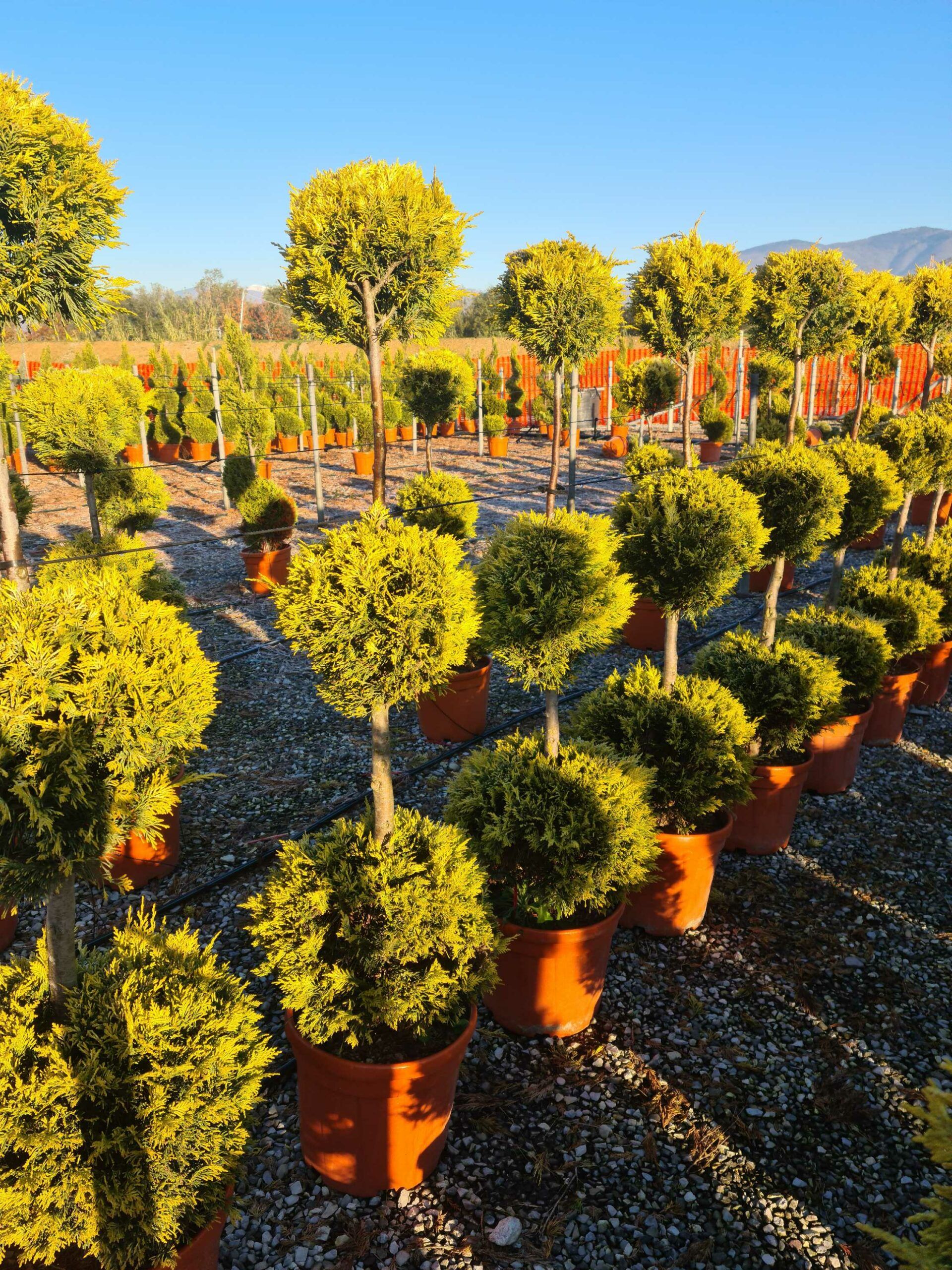 1639815044 scaled 4ecb8d3b