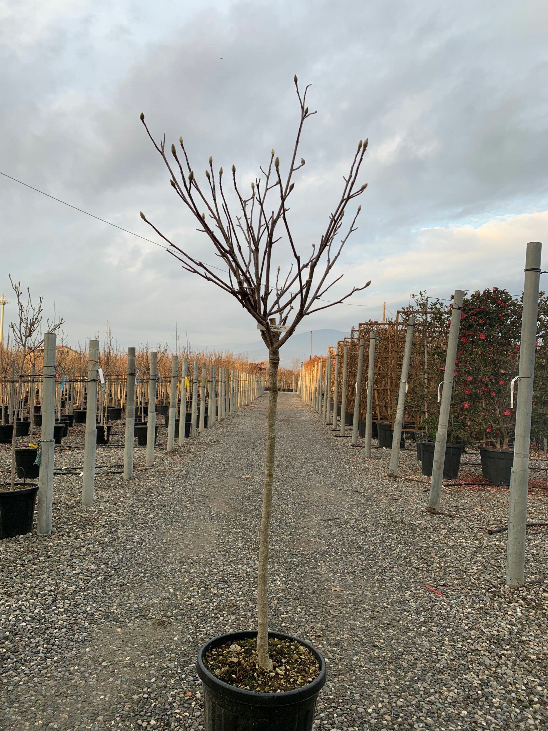 1640098287 scaled 4efd46fb