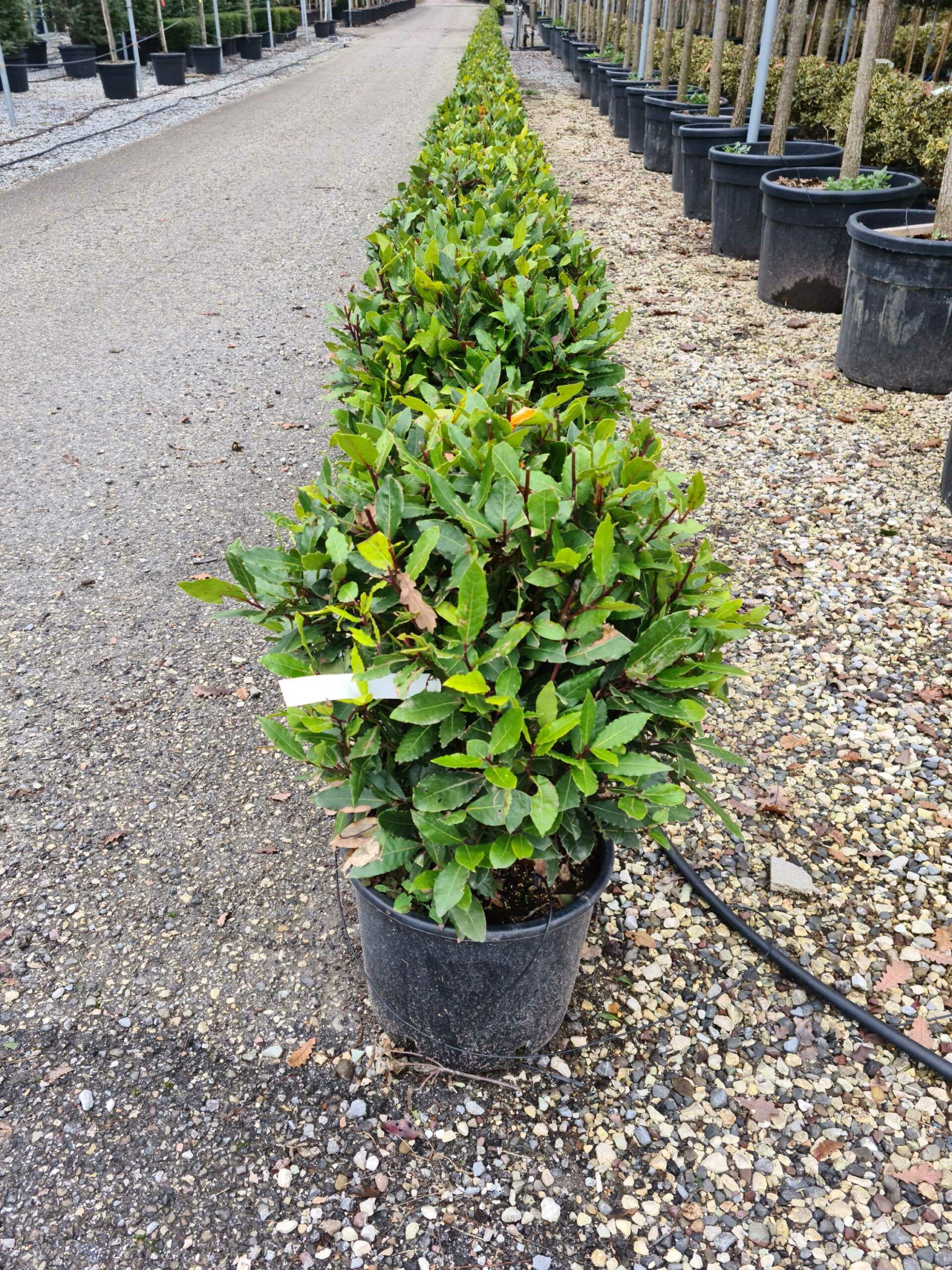 1641287819 scaled 4e9512c2