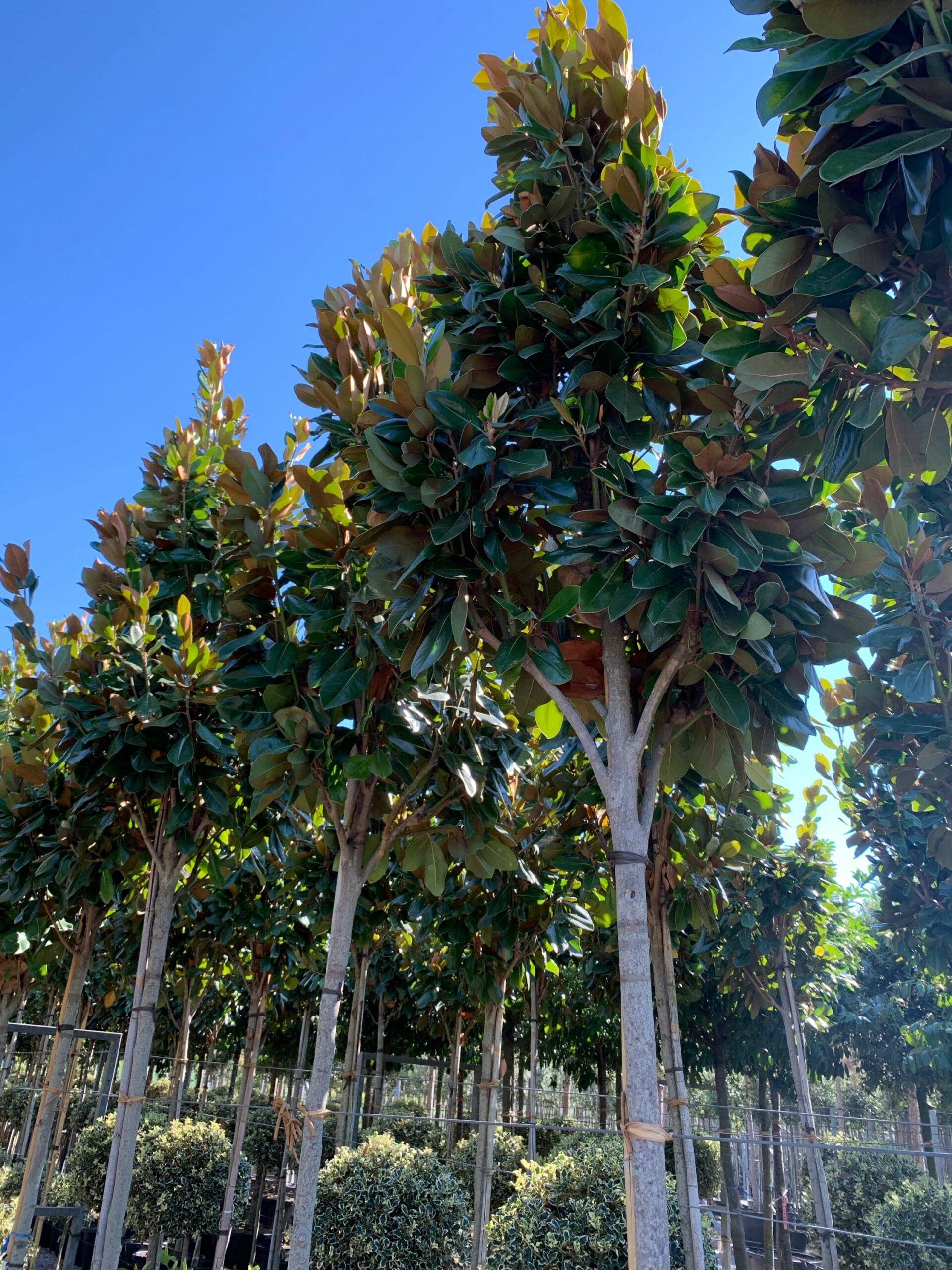 1657898225 scaled 4e1603ad