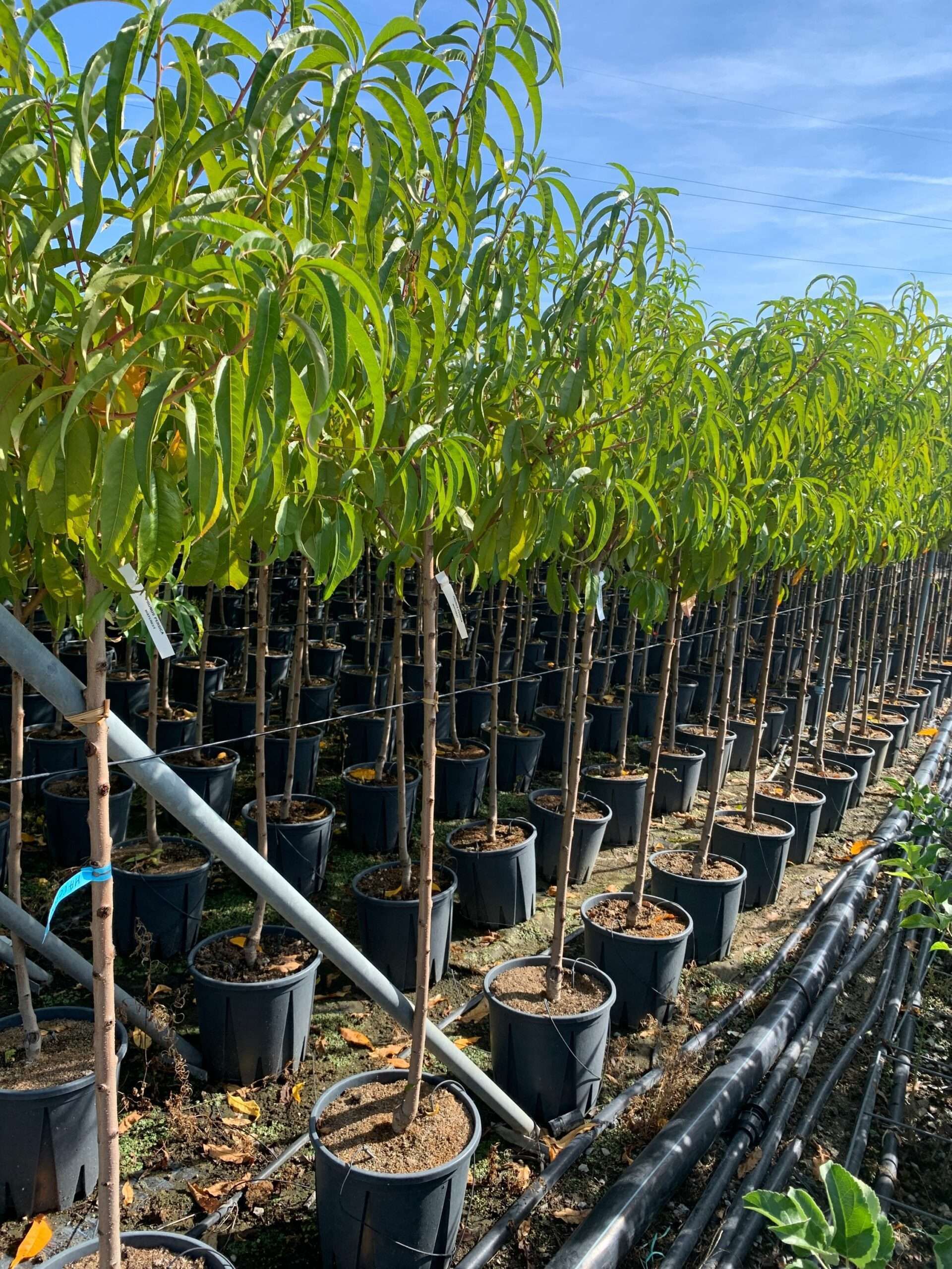 1662365883 scaled 4e3b55f8