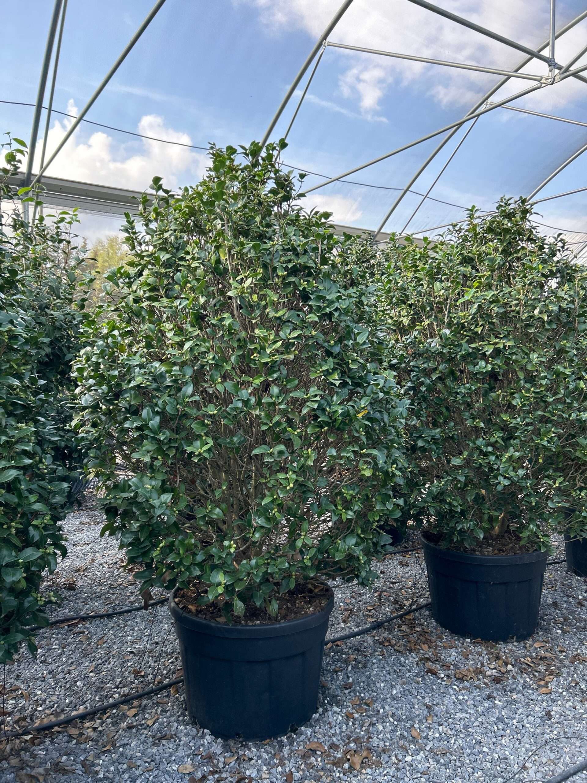 1697287190 scaled 4e8de0e5