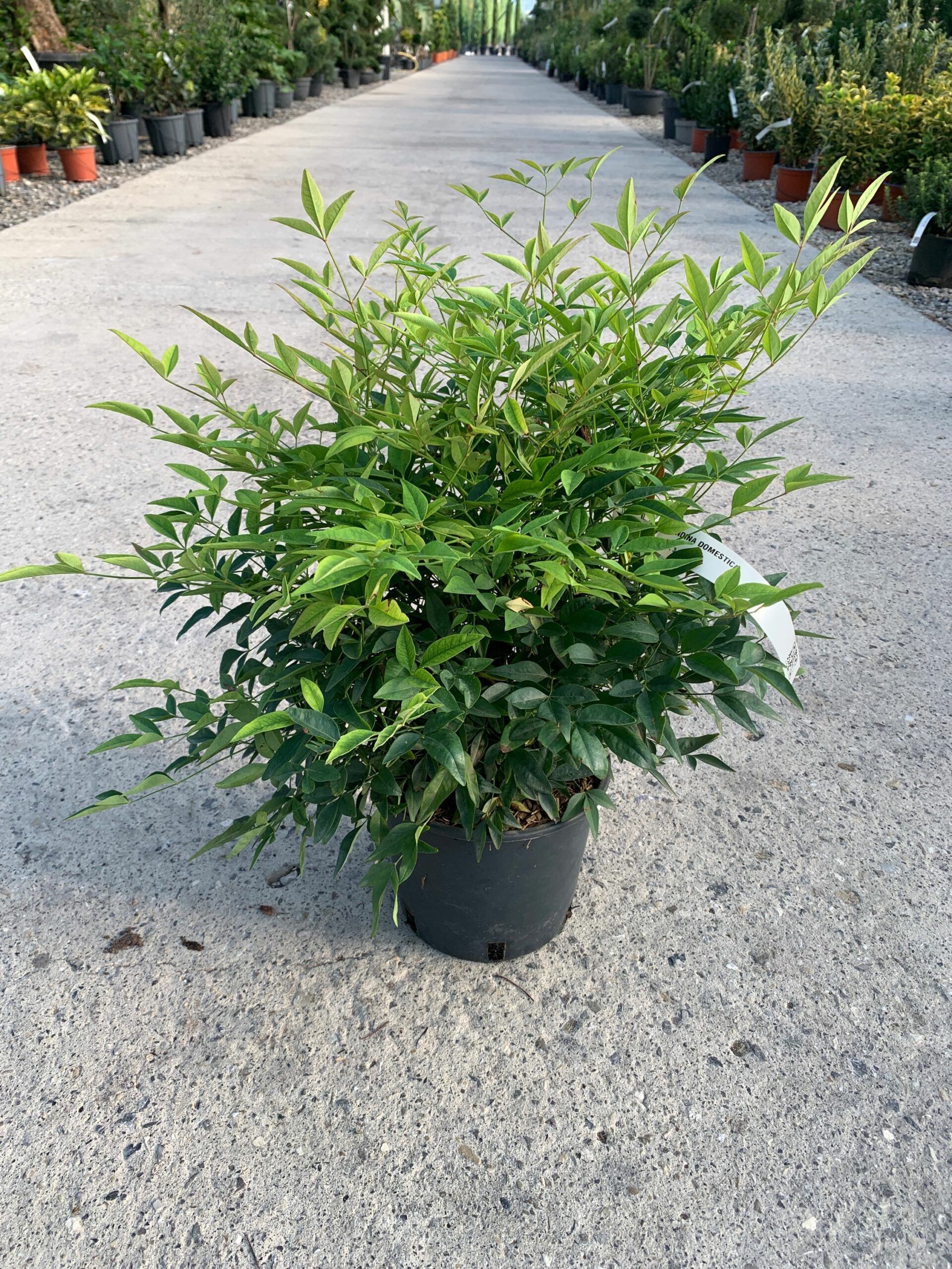 1632812697 scaled 4f1809e3