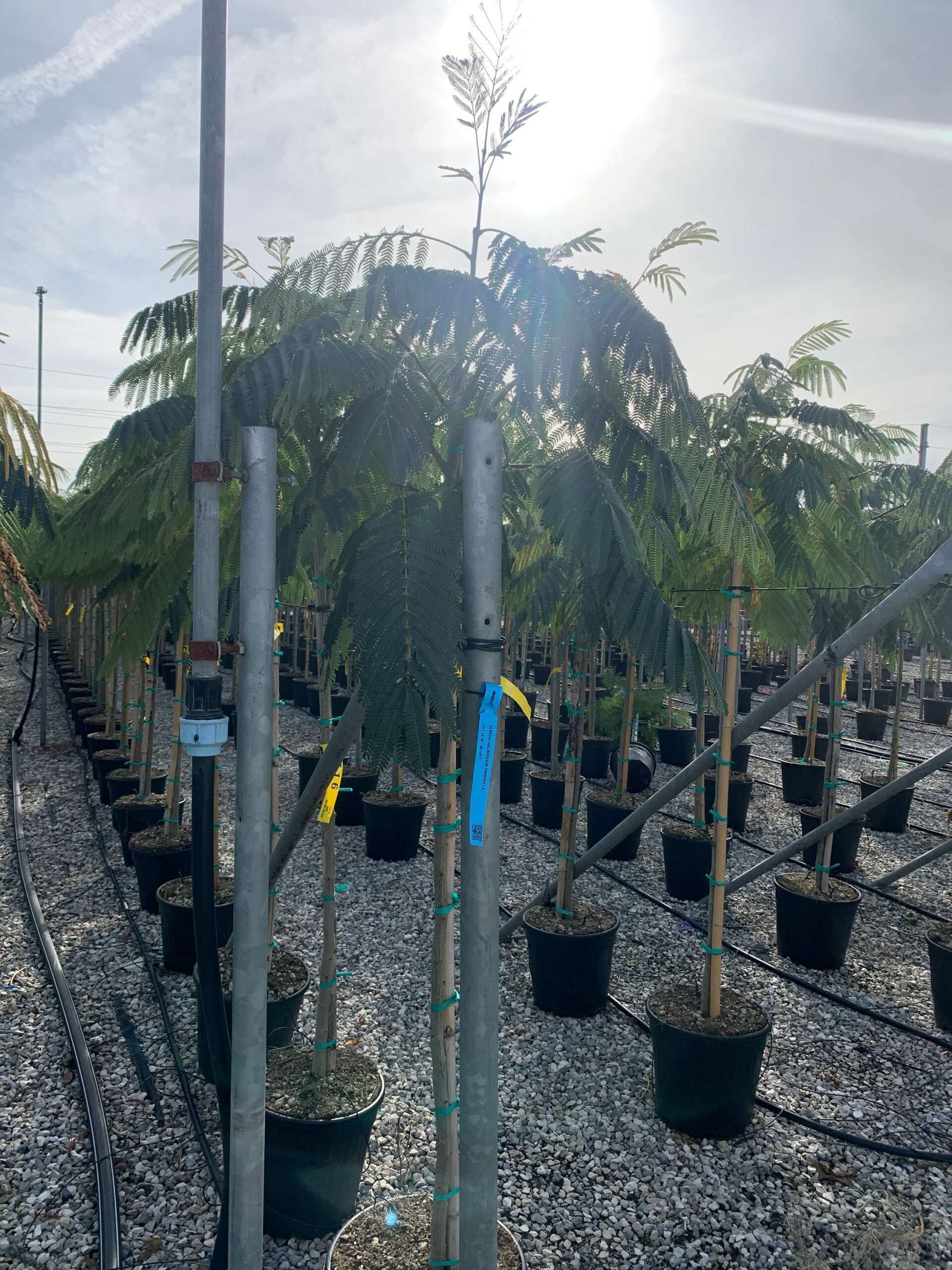 1635166705 scaled 4f3292ce