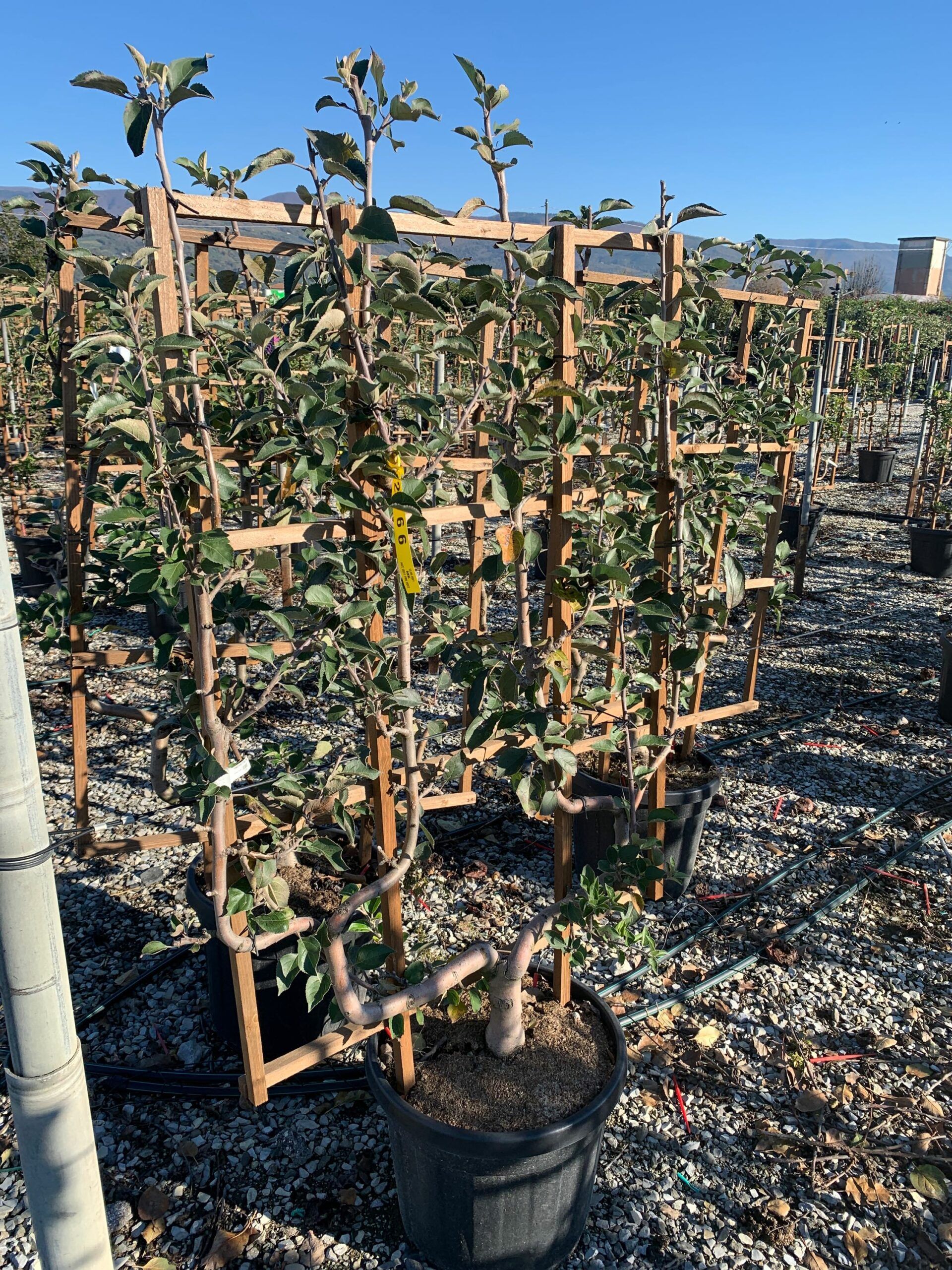 1637746172 scaled 4f28bcd2