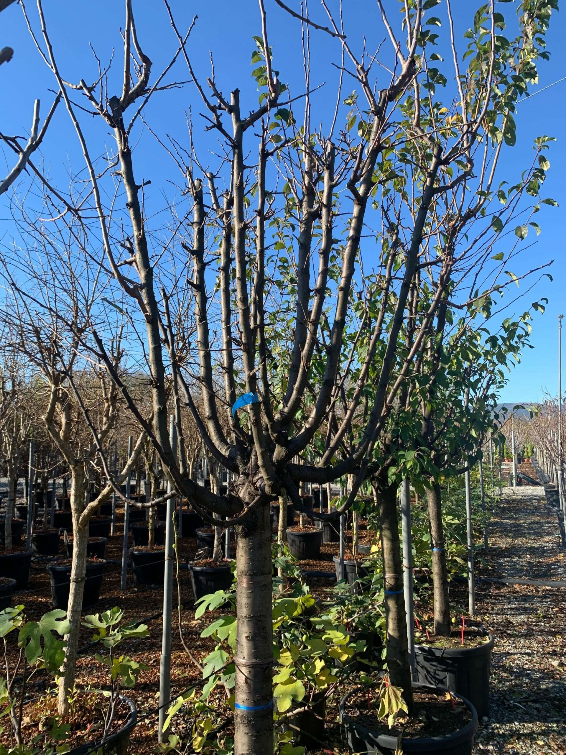 1637747668 scaled 4f6f9c1c